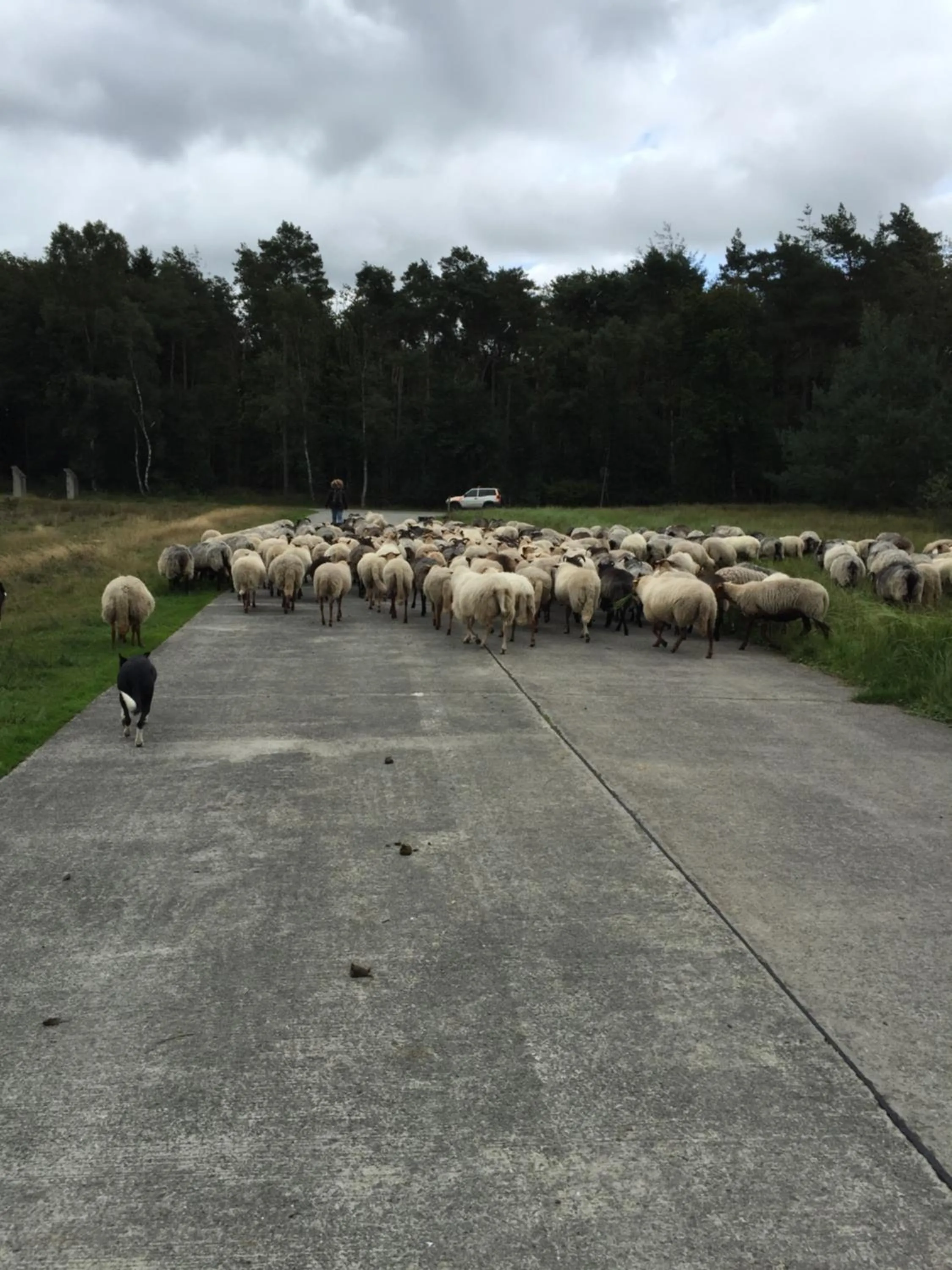 Natural landscape in Hotel Prélude