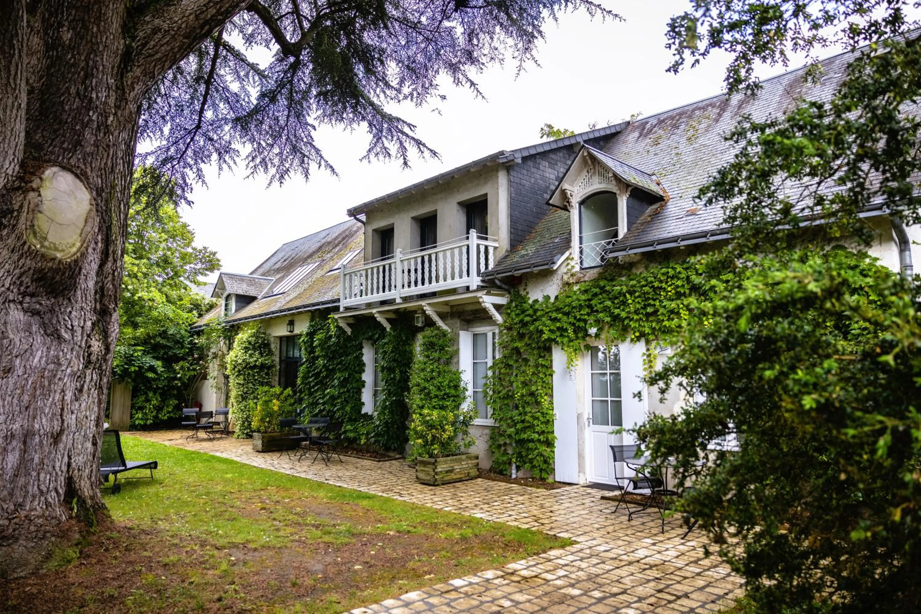 Spring in Domaine de la Tortinière