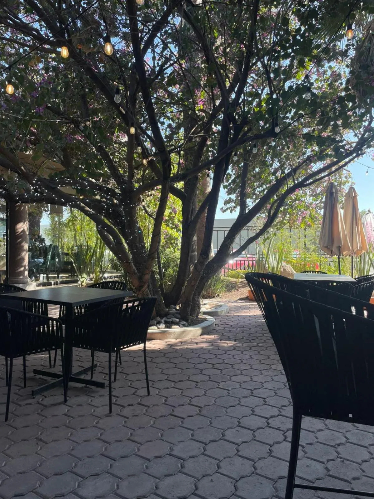 Restaurant/places to eat in Hotel Villa Montes