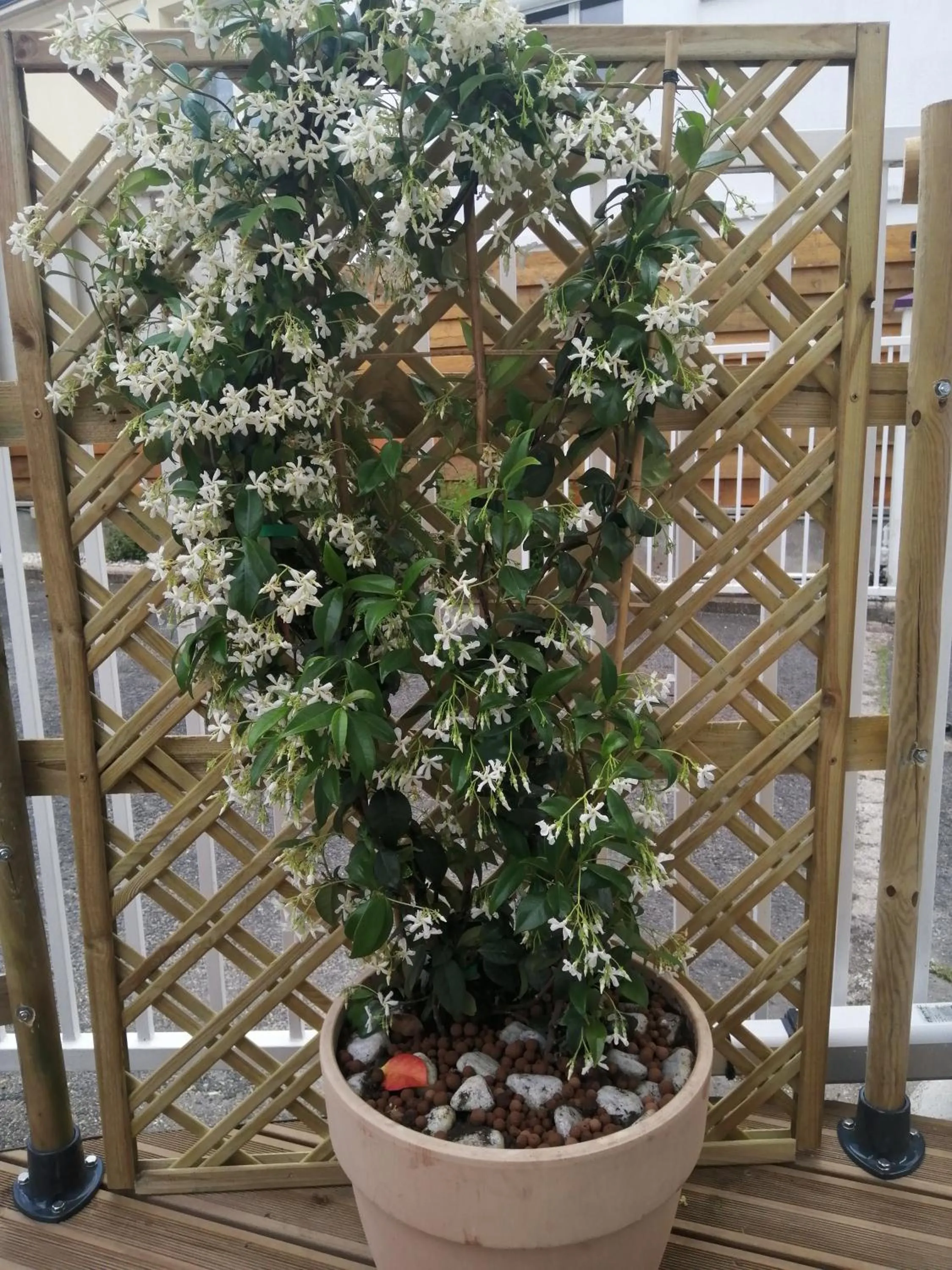 Patio in Hôtel Chantepie