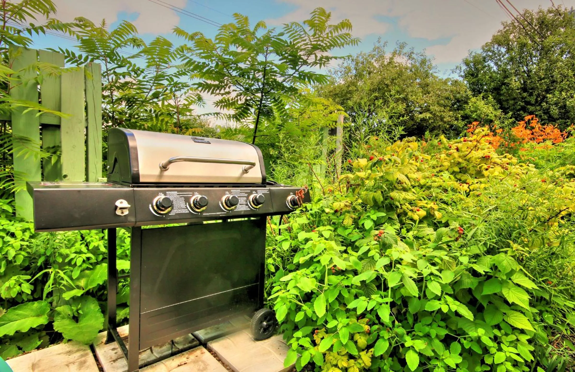 BBQ facilities in Vieille Maison Rustique Espace Intéressant
