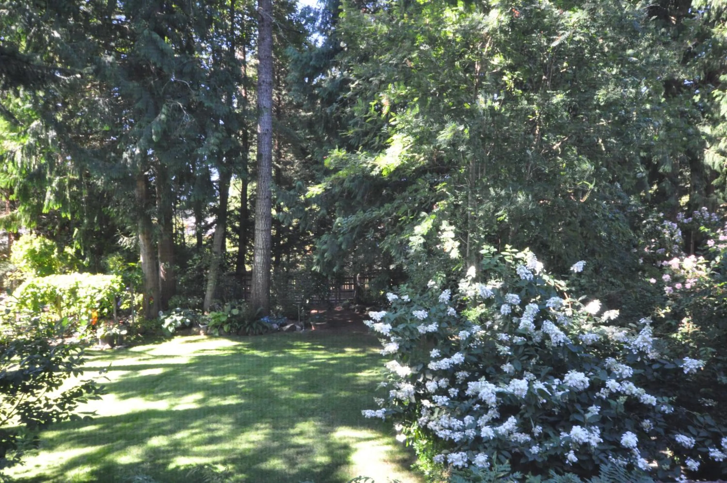Garden view in Garden House
