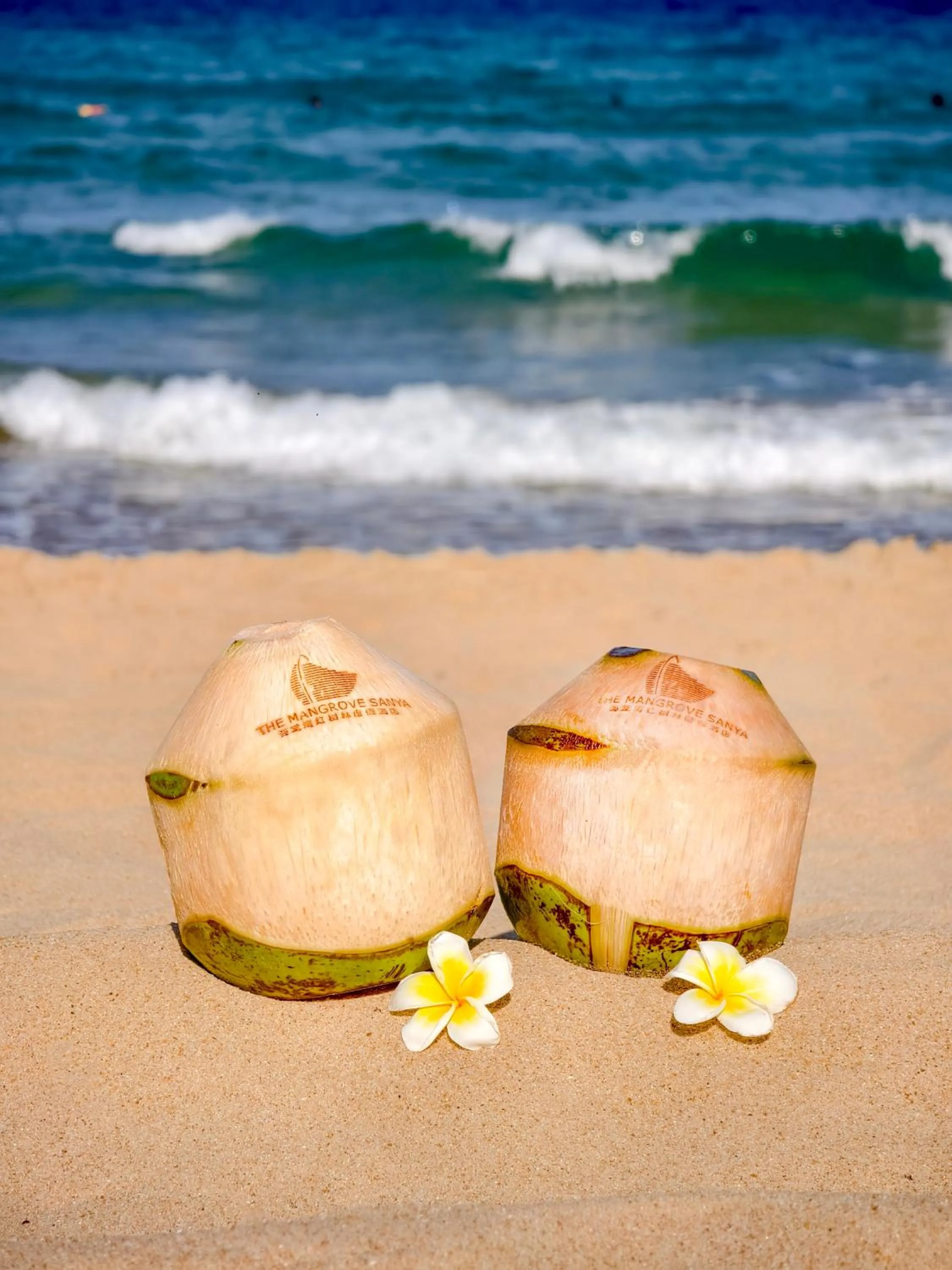 Beach in The Mangrovetree Sanya Resort