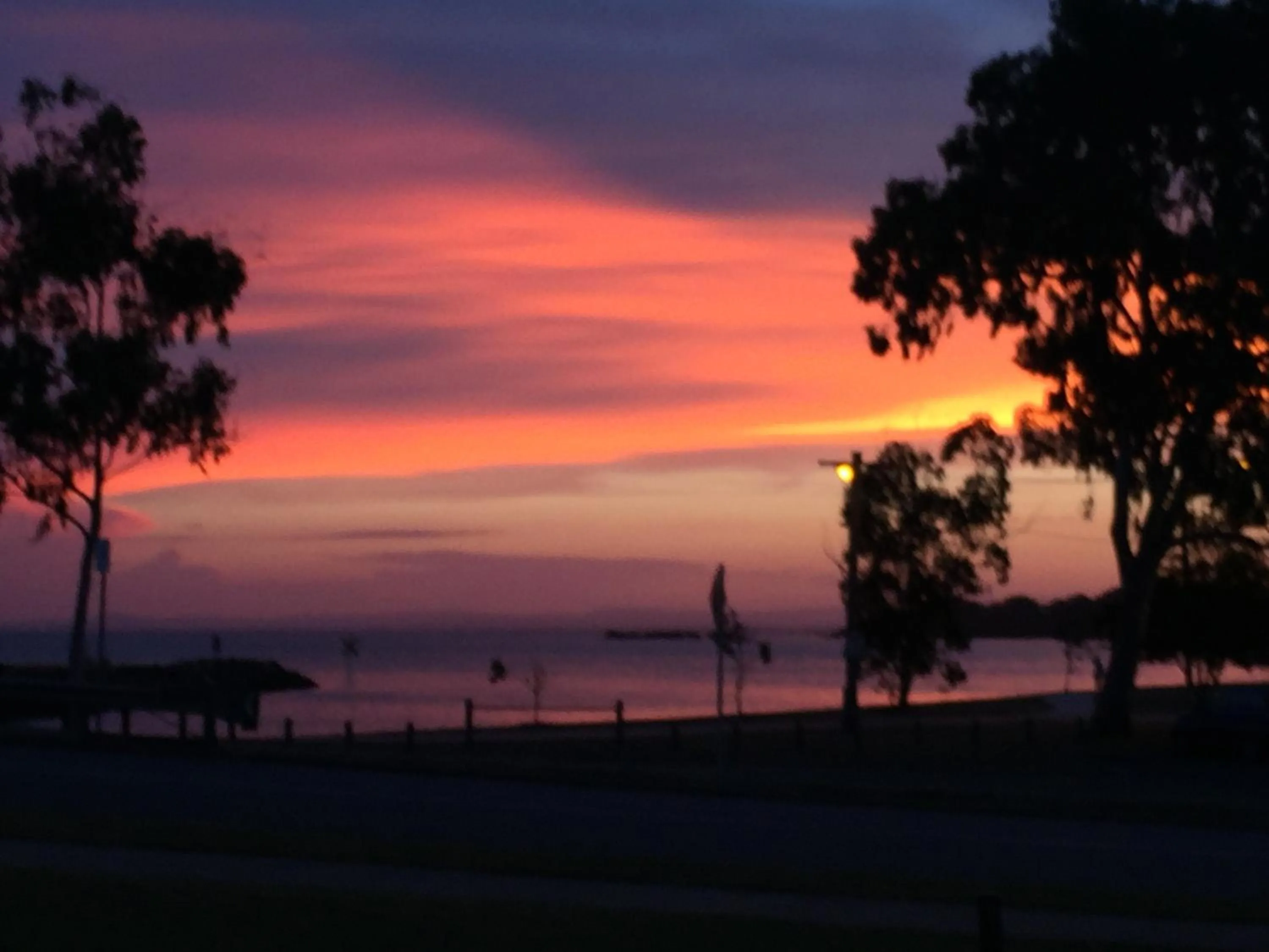 Garden view in Bribie Waterways Motel