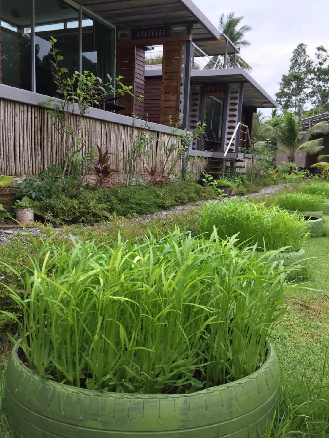 Baan Boom Boxes Eco Friendly Resort