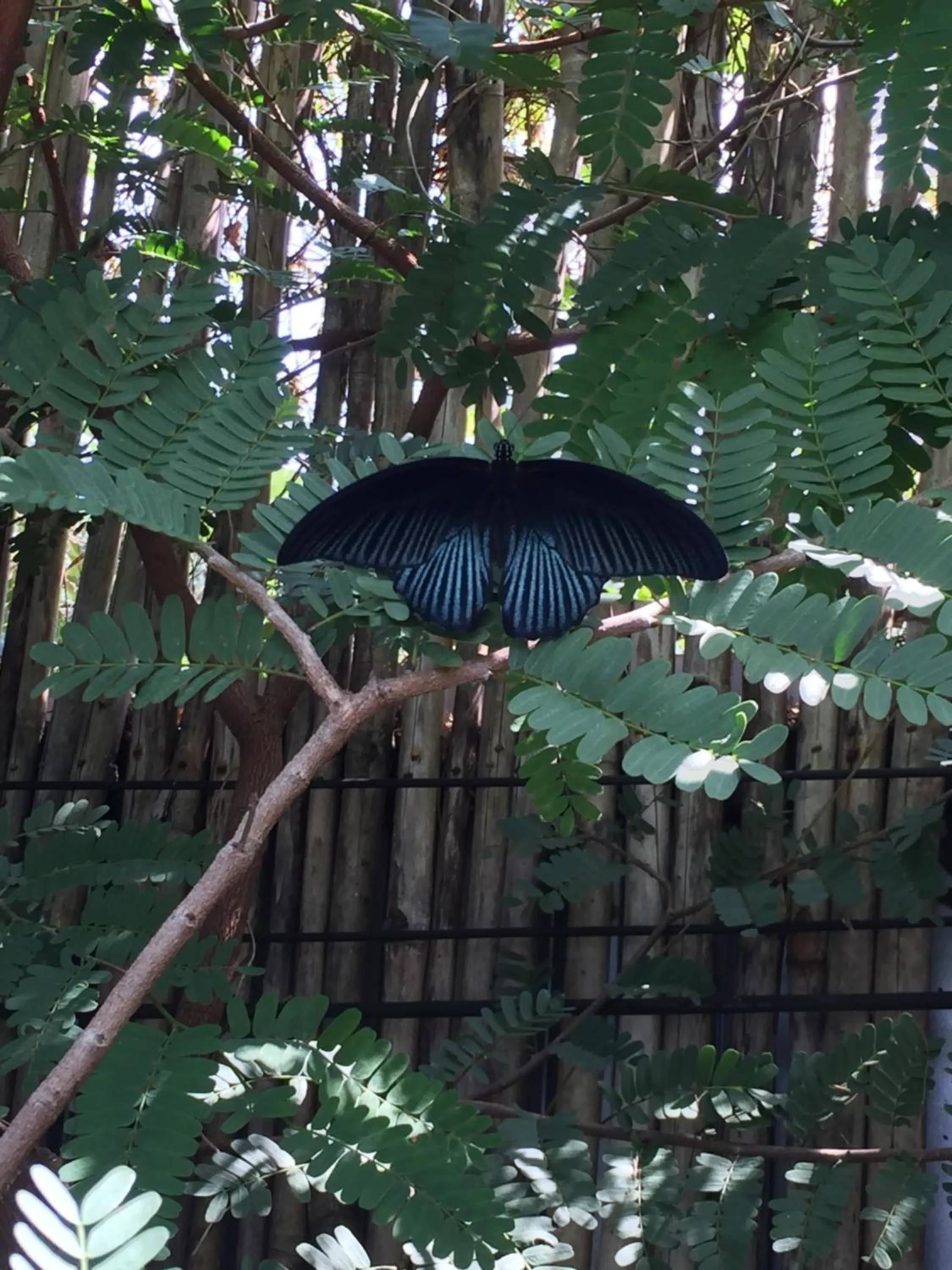 Baan Boom Boxes Eco Friendly Resort