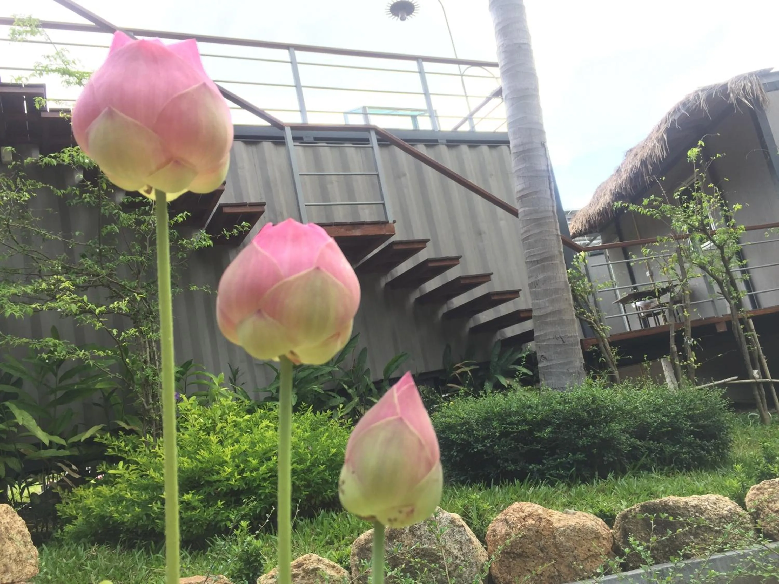 Baan Boom Boxes Eco Friendly Resort