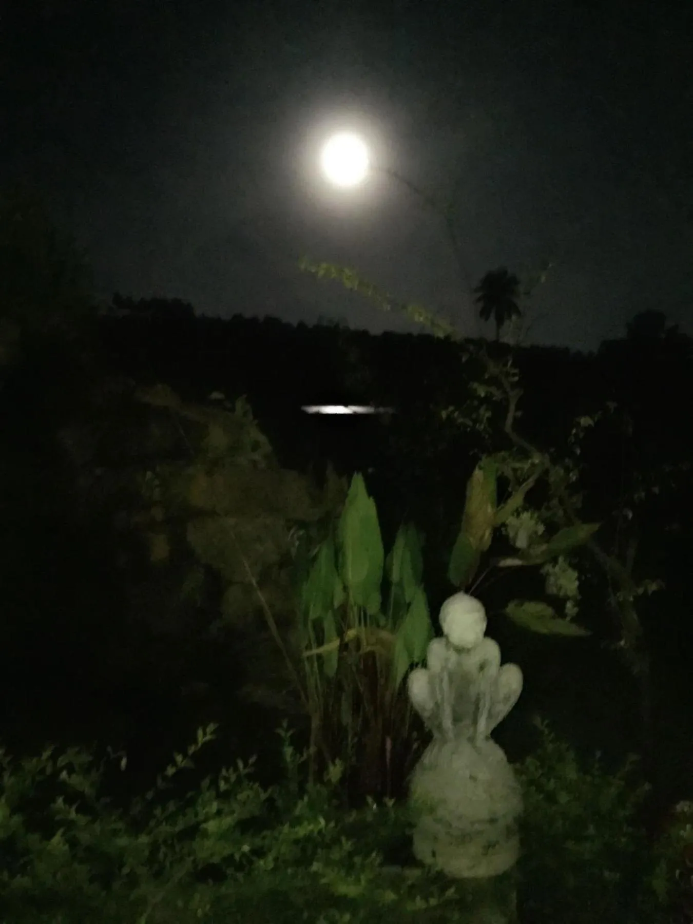 Baan Boom Boxes Eco Friendly Resort