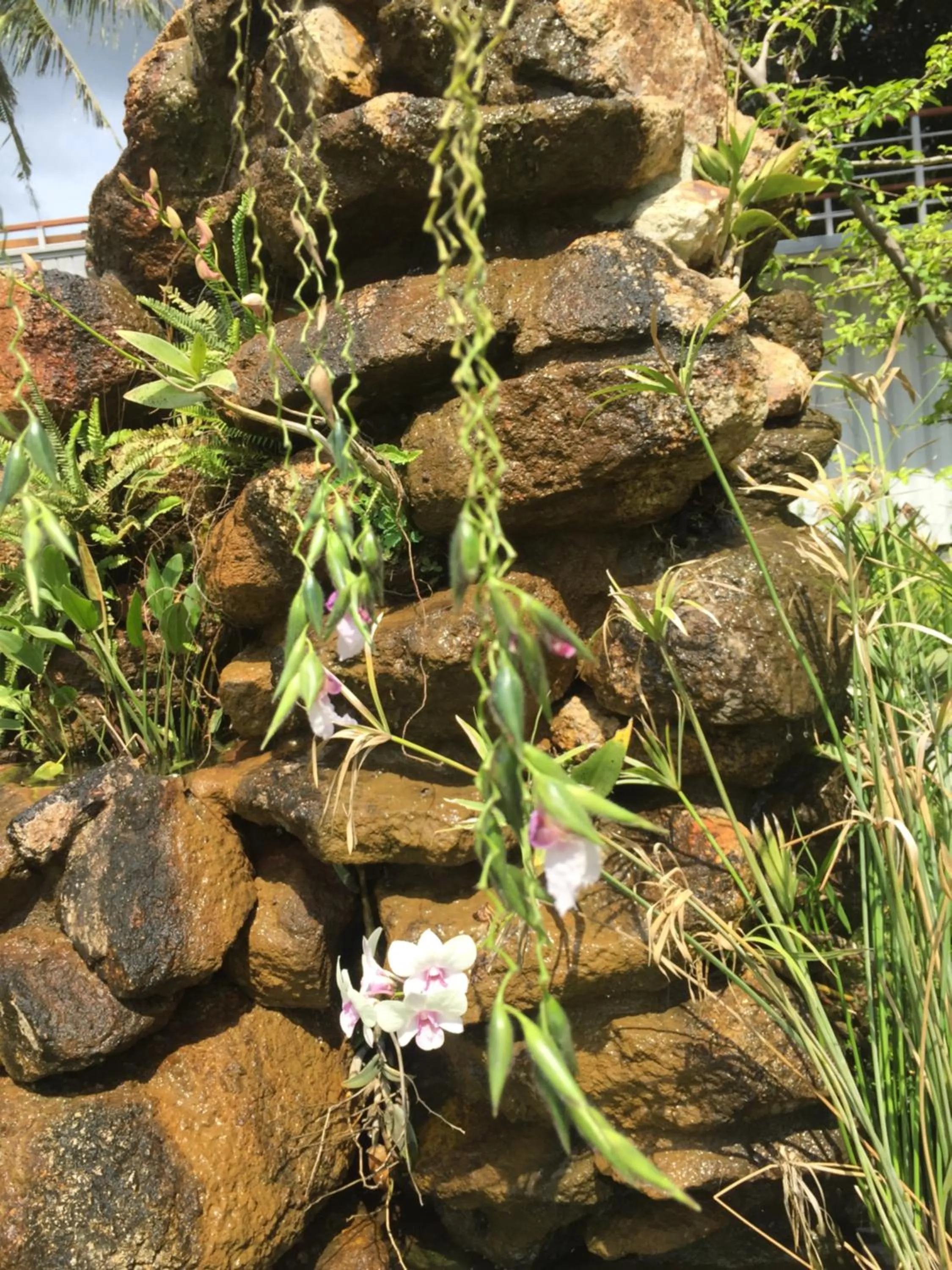 Baan Boom Boxes Eco Friendly Resort