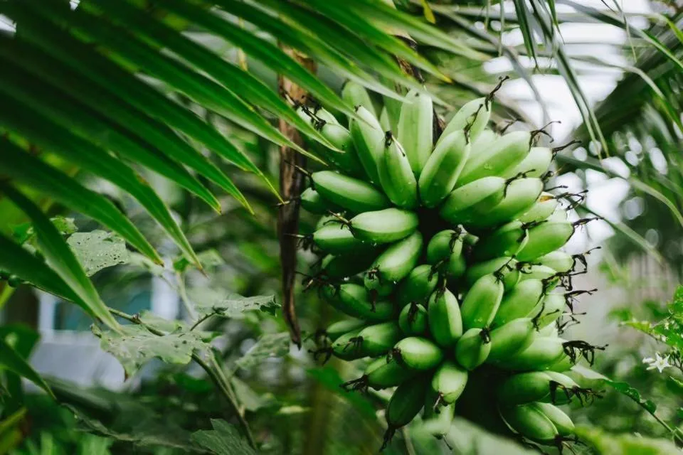 Baan Boom Boxes Eco Friendly Resort