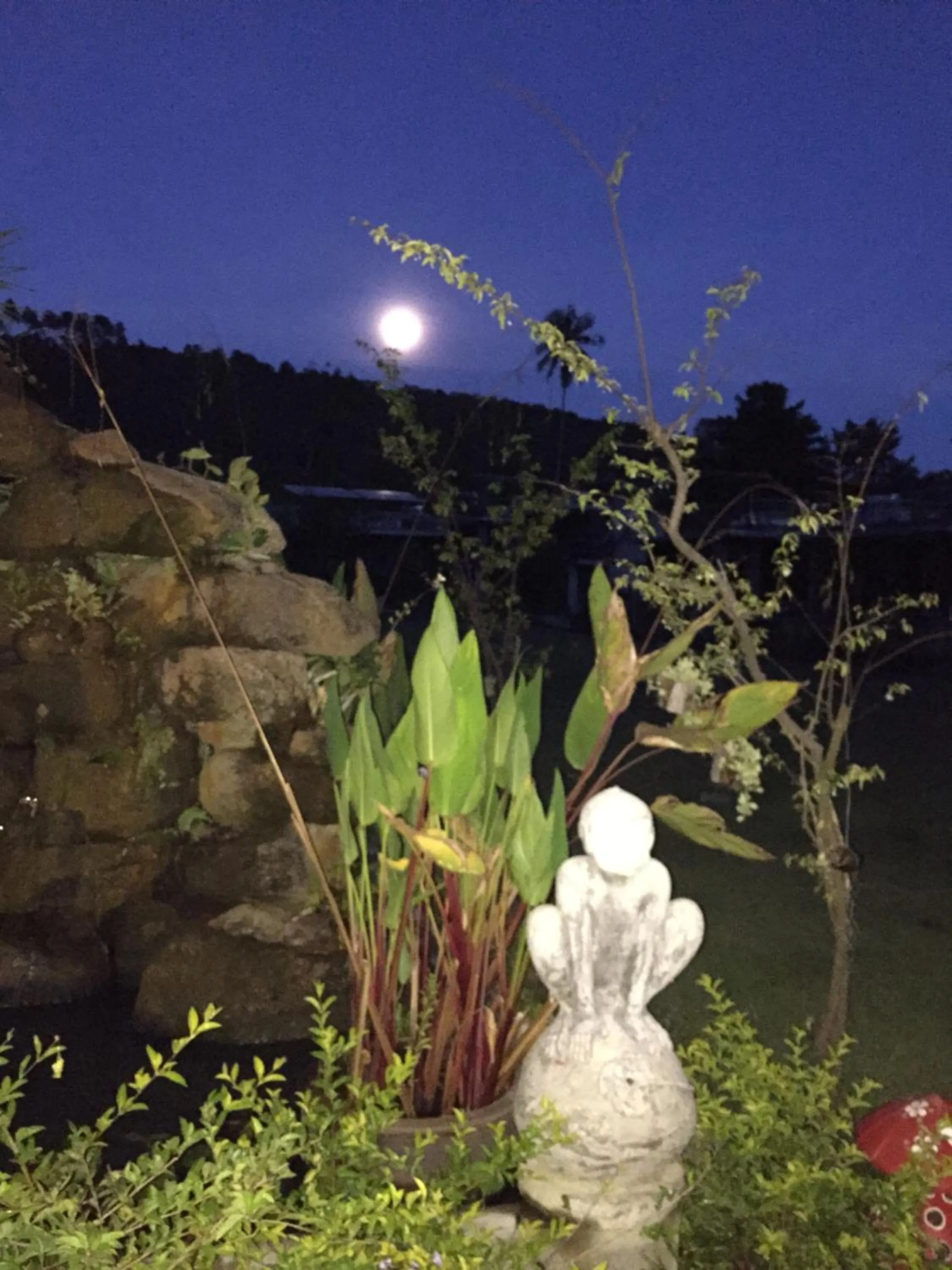 Baan Boom Boxes Eco Friendly Resort