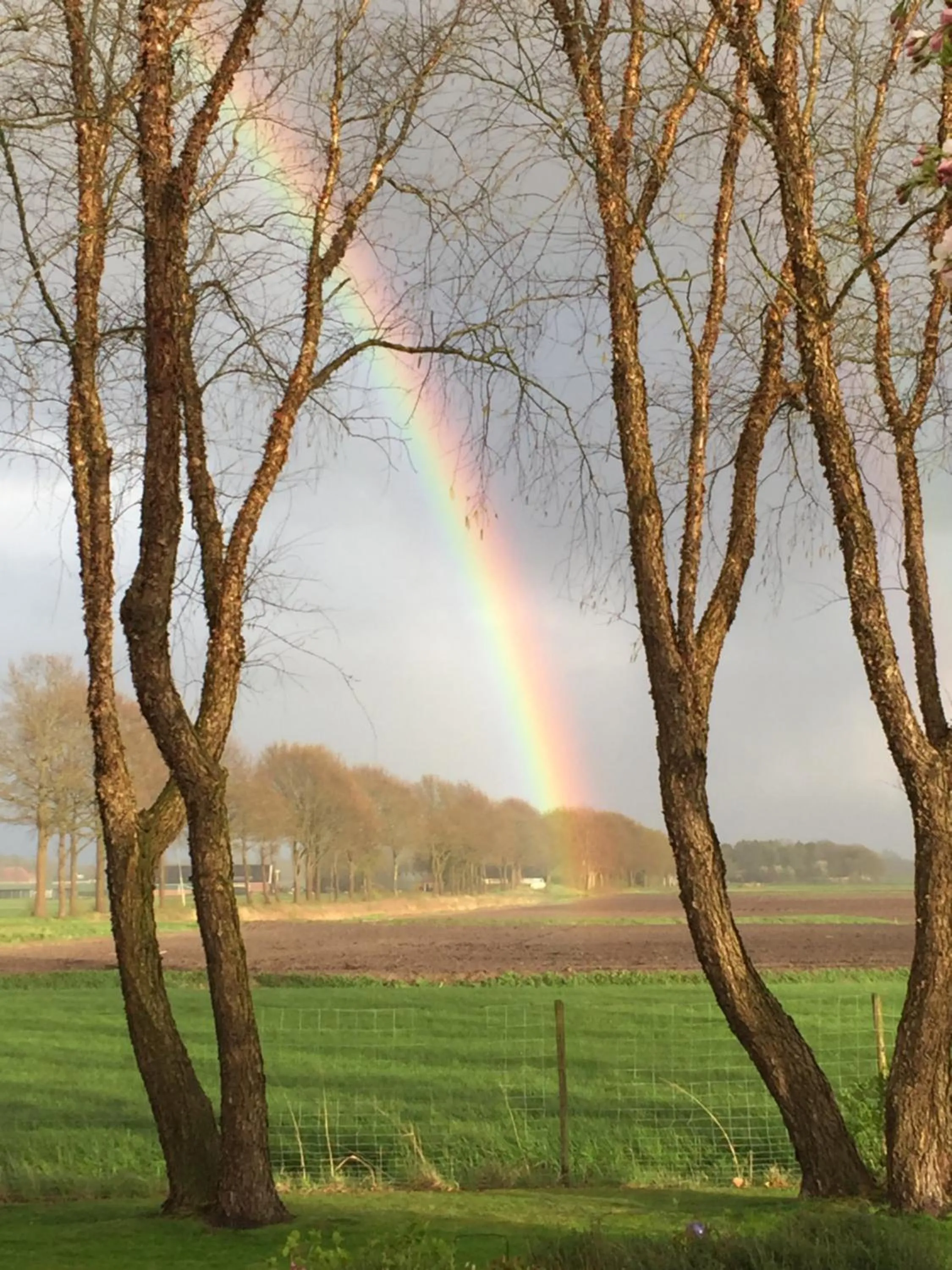 Spring in De Porrepoele