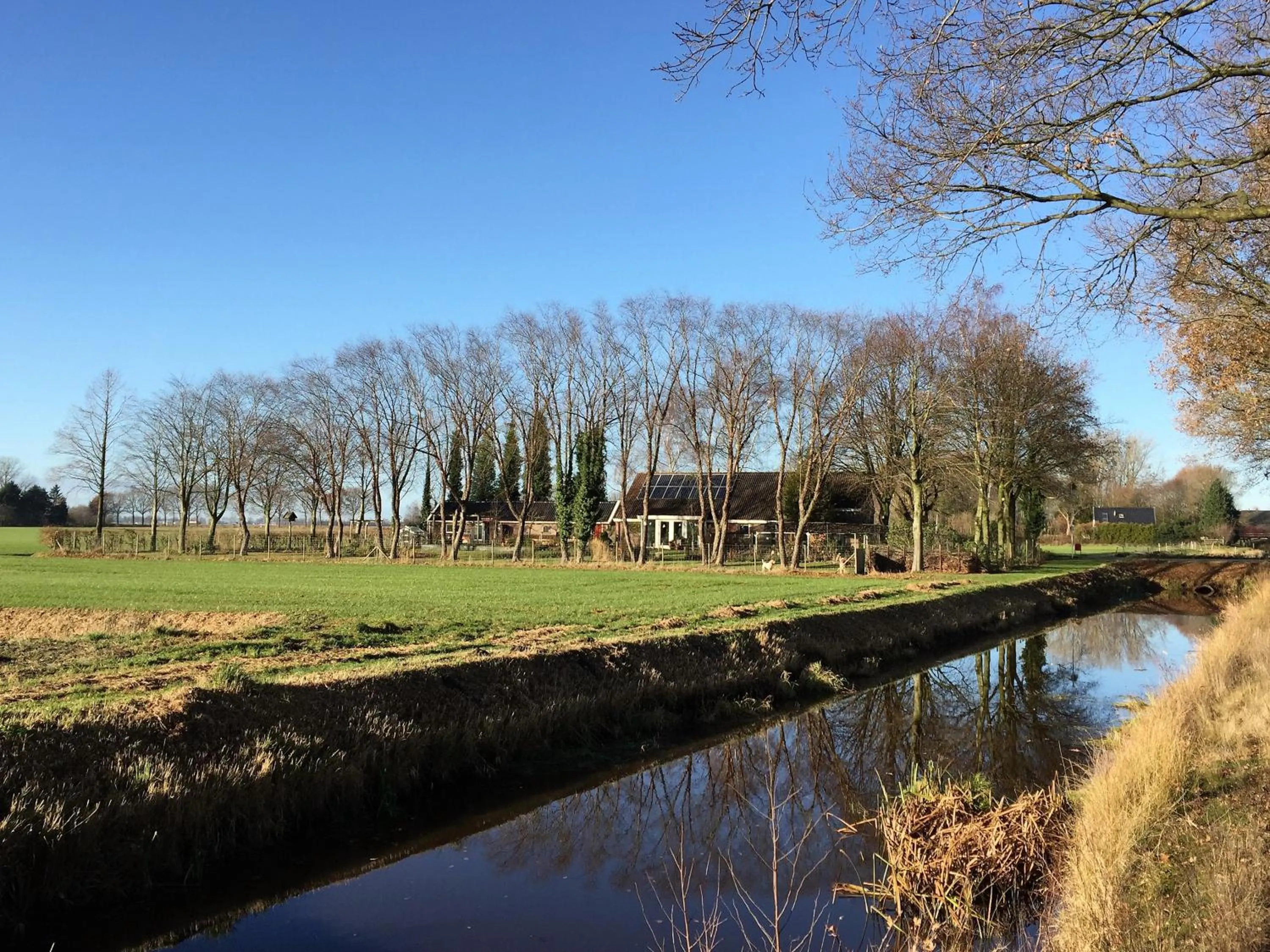 Property building in De Porrepoele