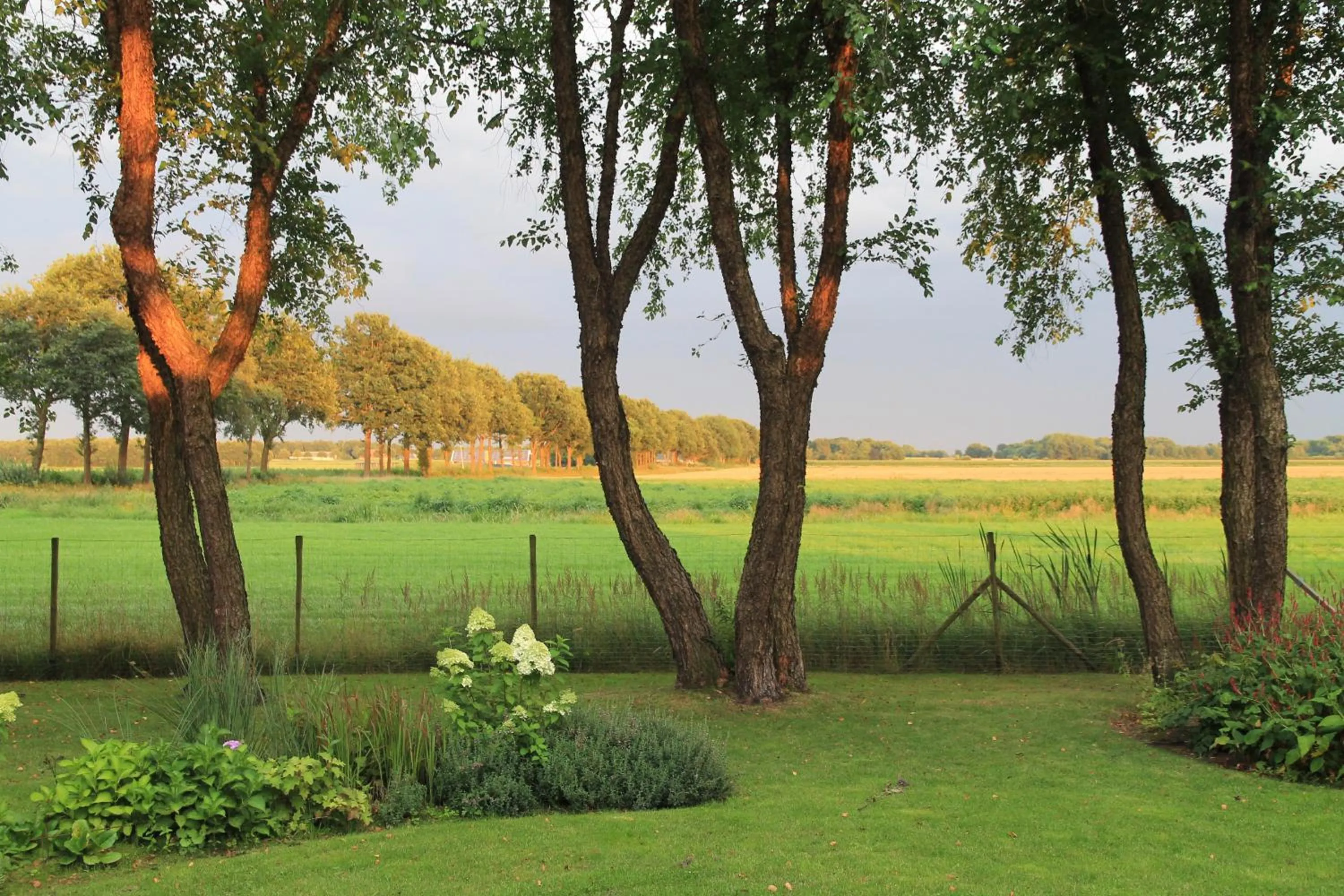 Summer in De Porrepoele