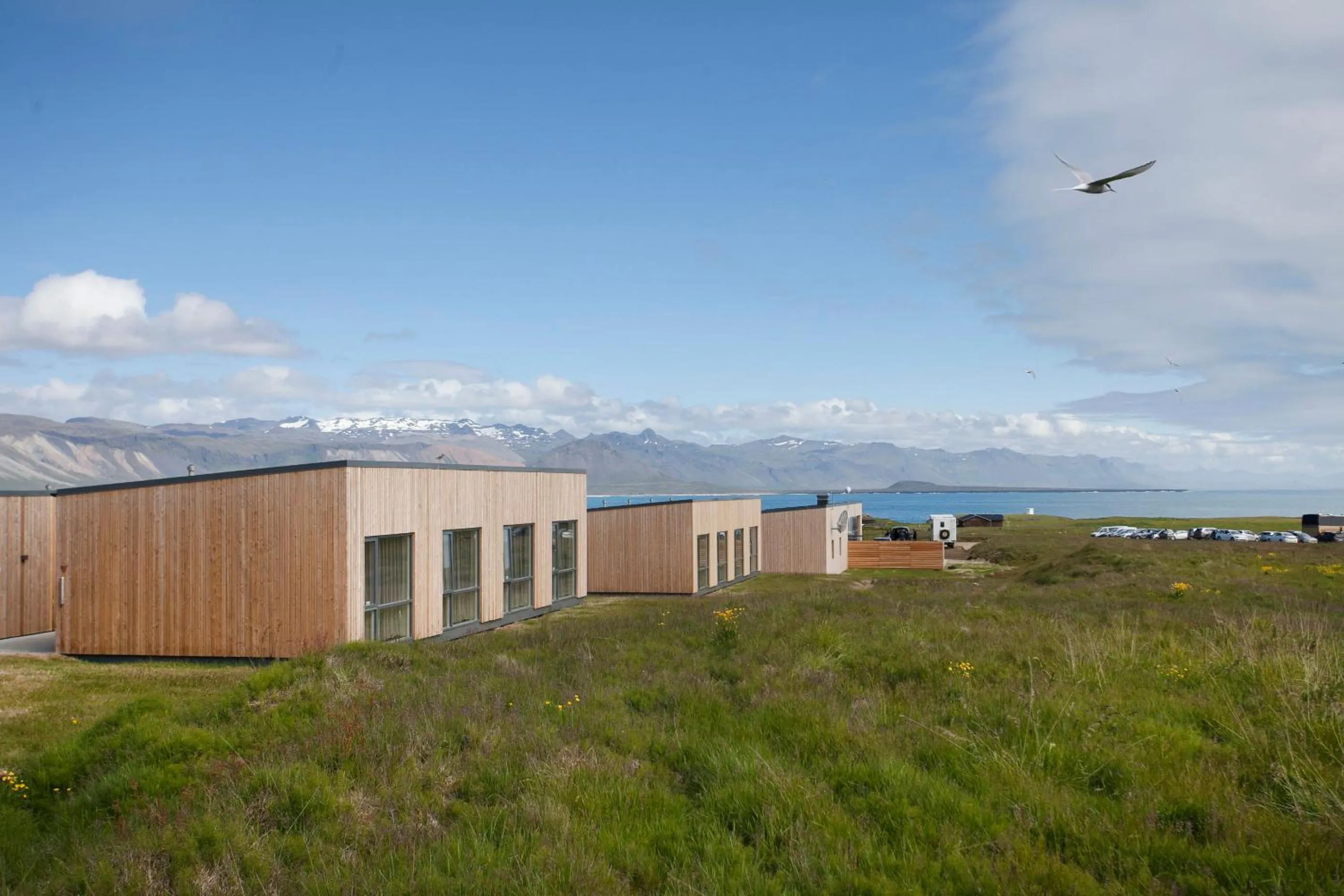 Neighbourhood in Arnarstapi Hotel