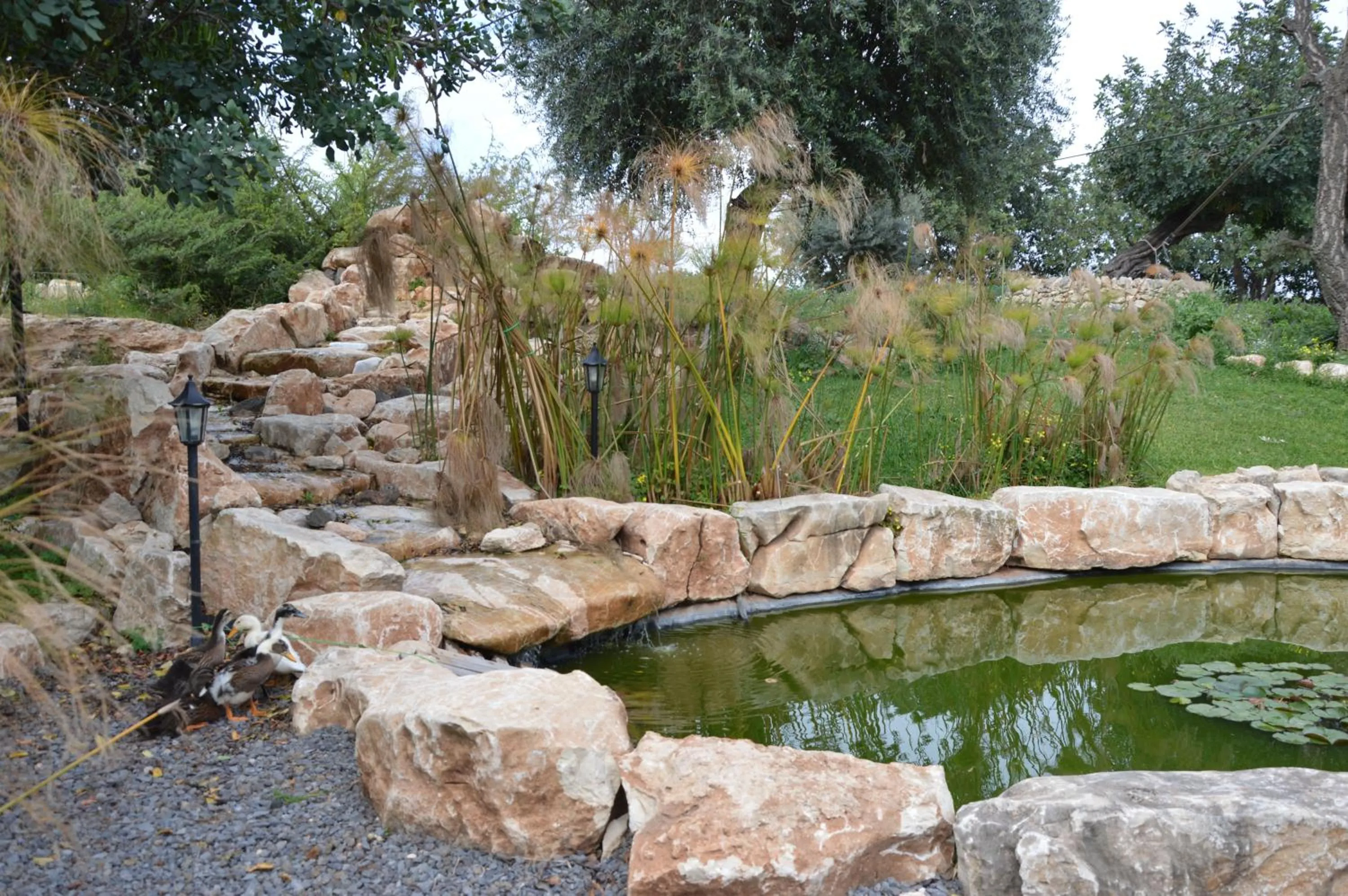 Garden in Villa Giulia - Sicilian Luxury Garden