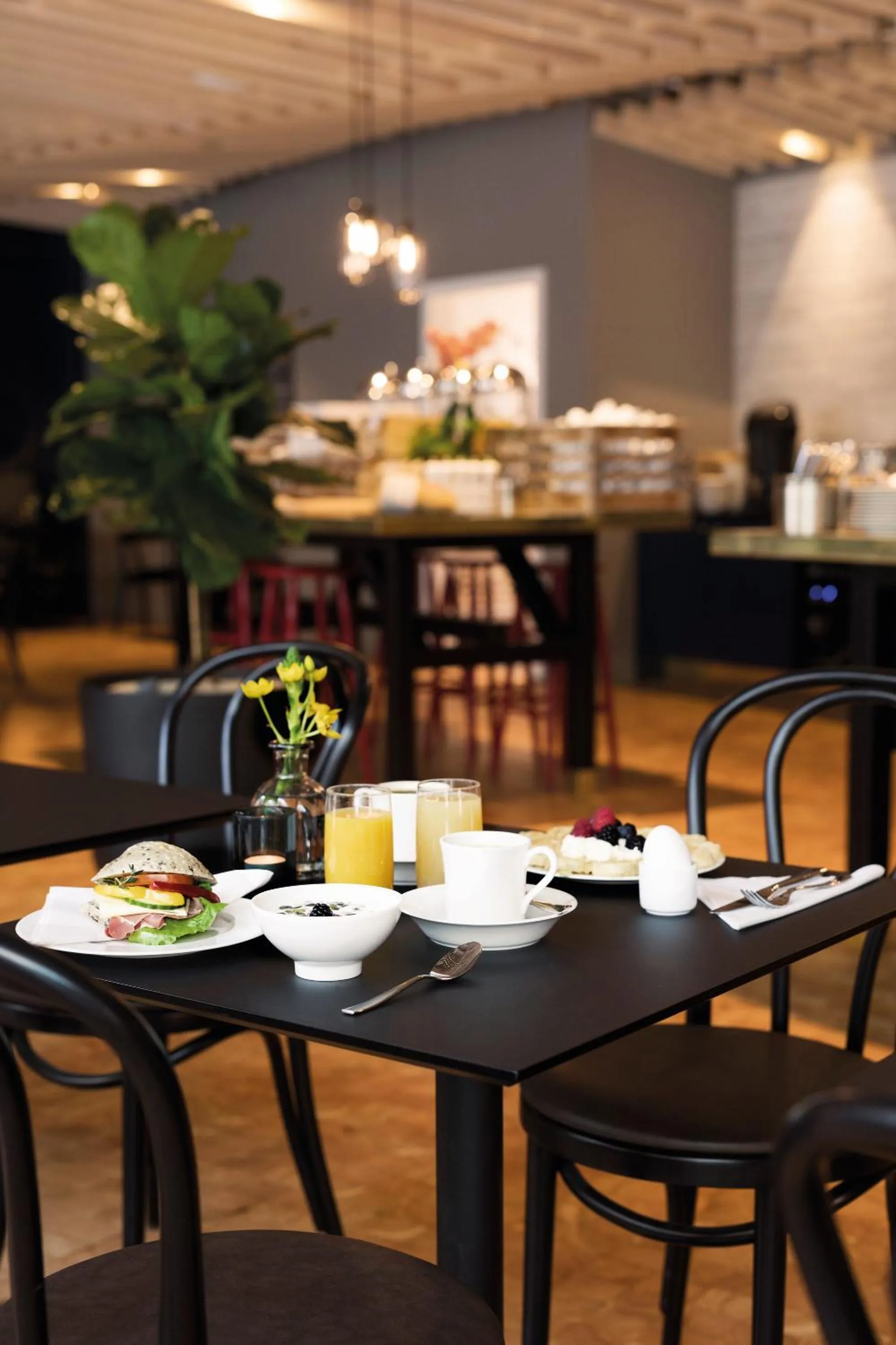 Restaurant/places to eat in Elite Hotel Academia