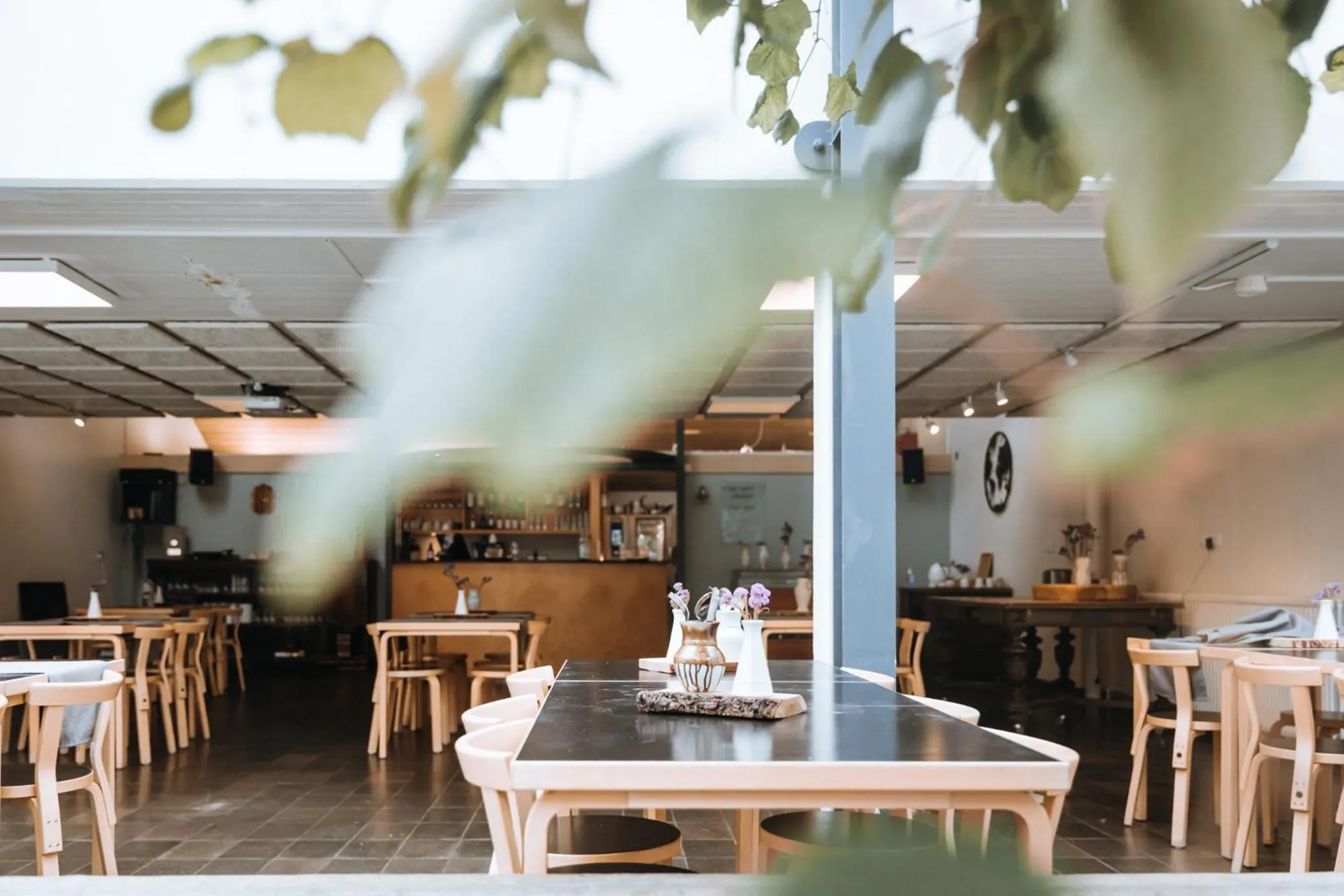 Restaurant/places to eat in Hótel Skálholt in Golden Circle