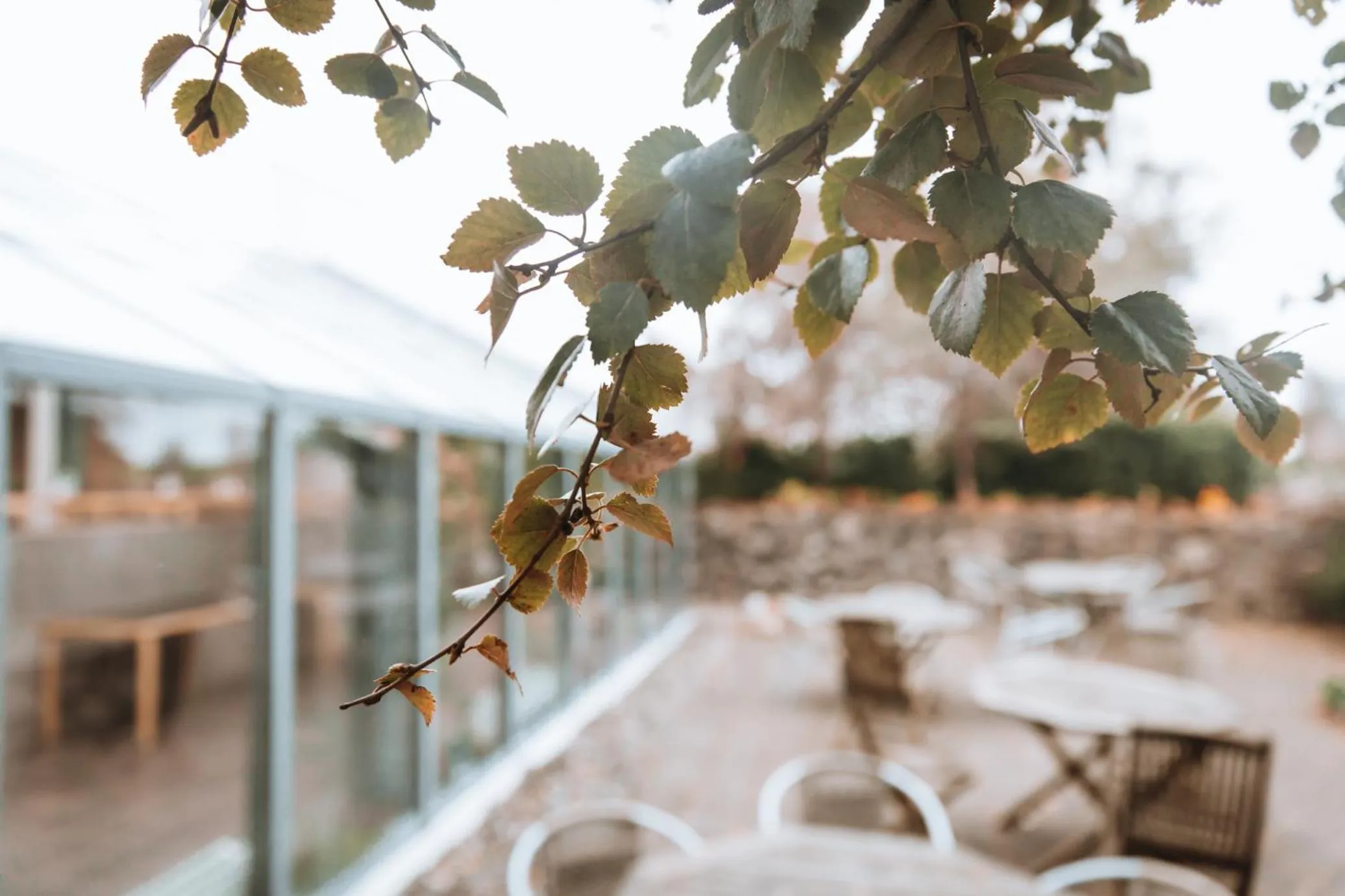 Restaurant/places to eat in Hótel Skálholt in Golden Circle