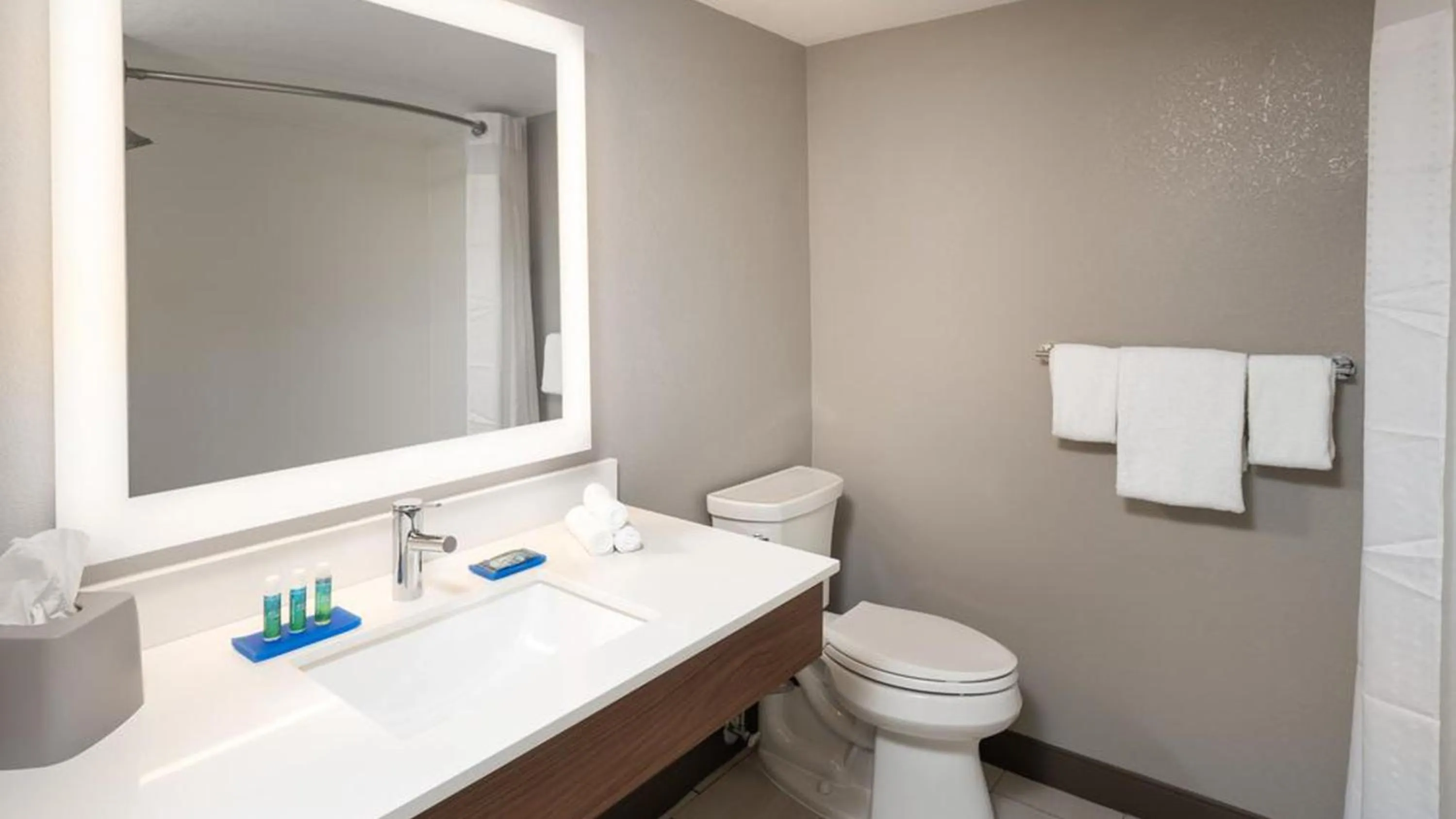 Bathroom in Holiday Inn Express & Suites - Jacksonville W - I295 and I10 by IHG