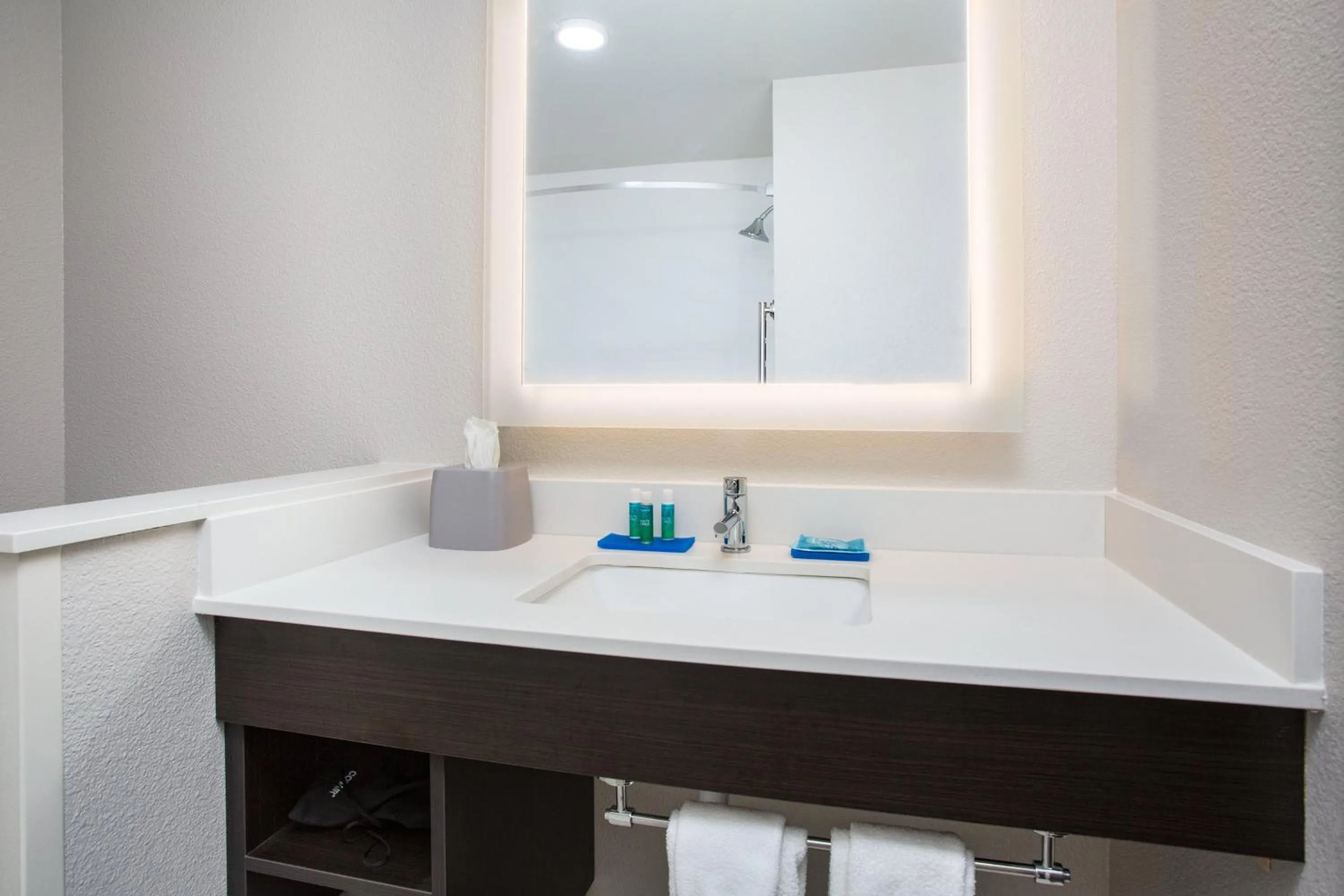 Bathroom in Holiday Inn Express & Suites - Rapid City - Rushmore South by IHG