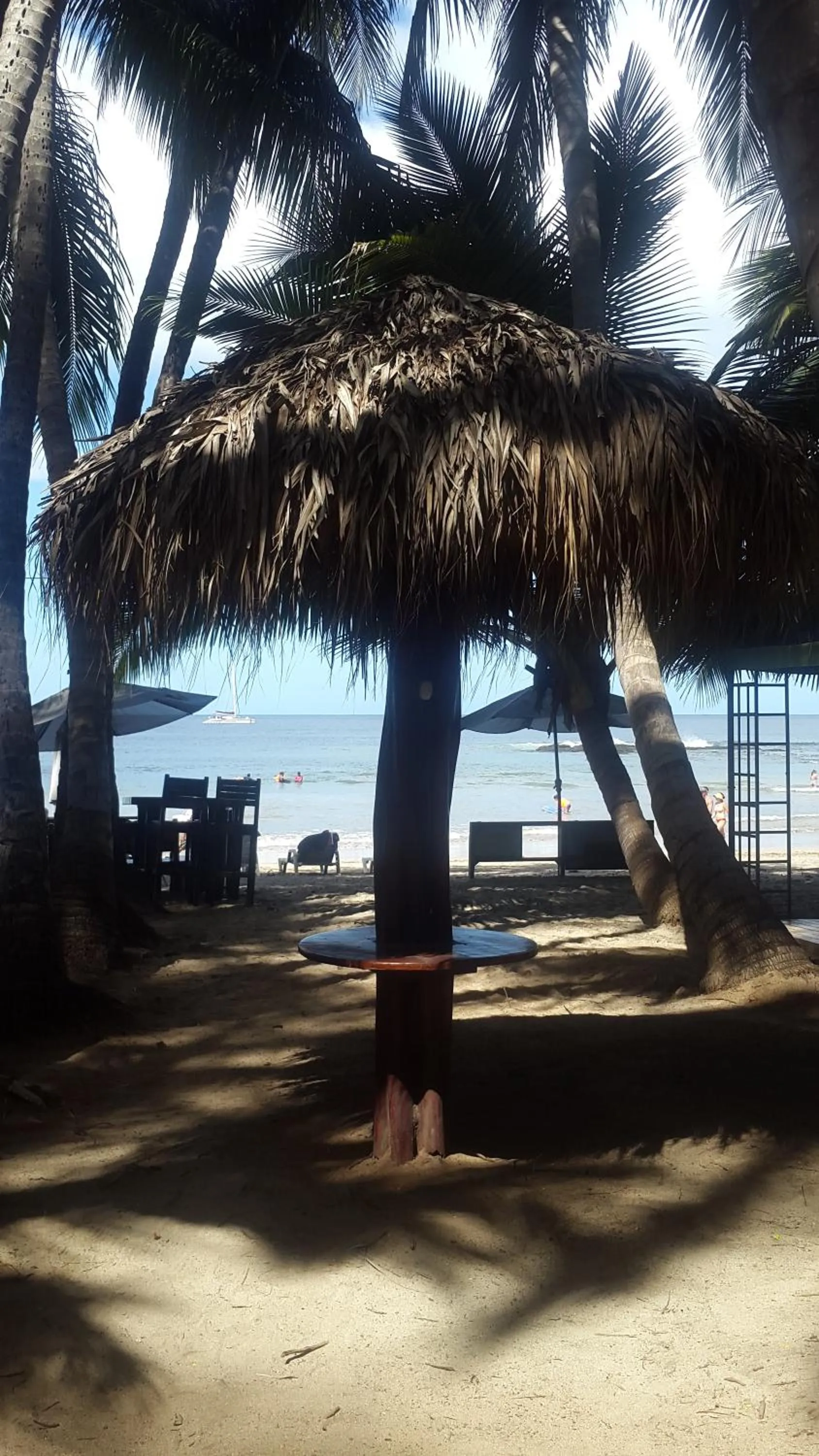 Sea view in Hotel La Palapa