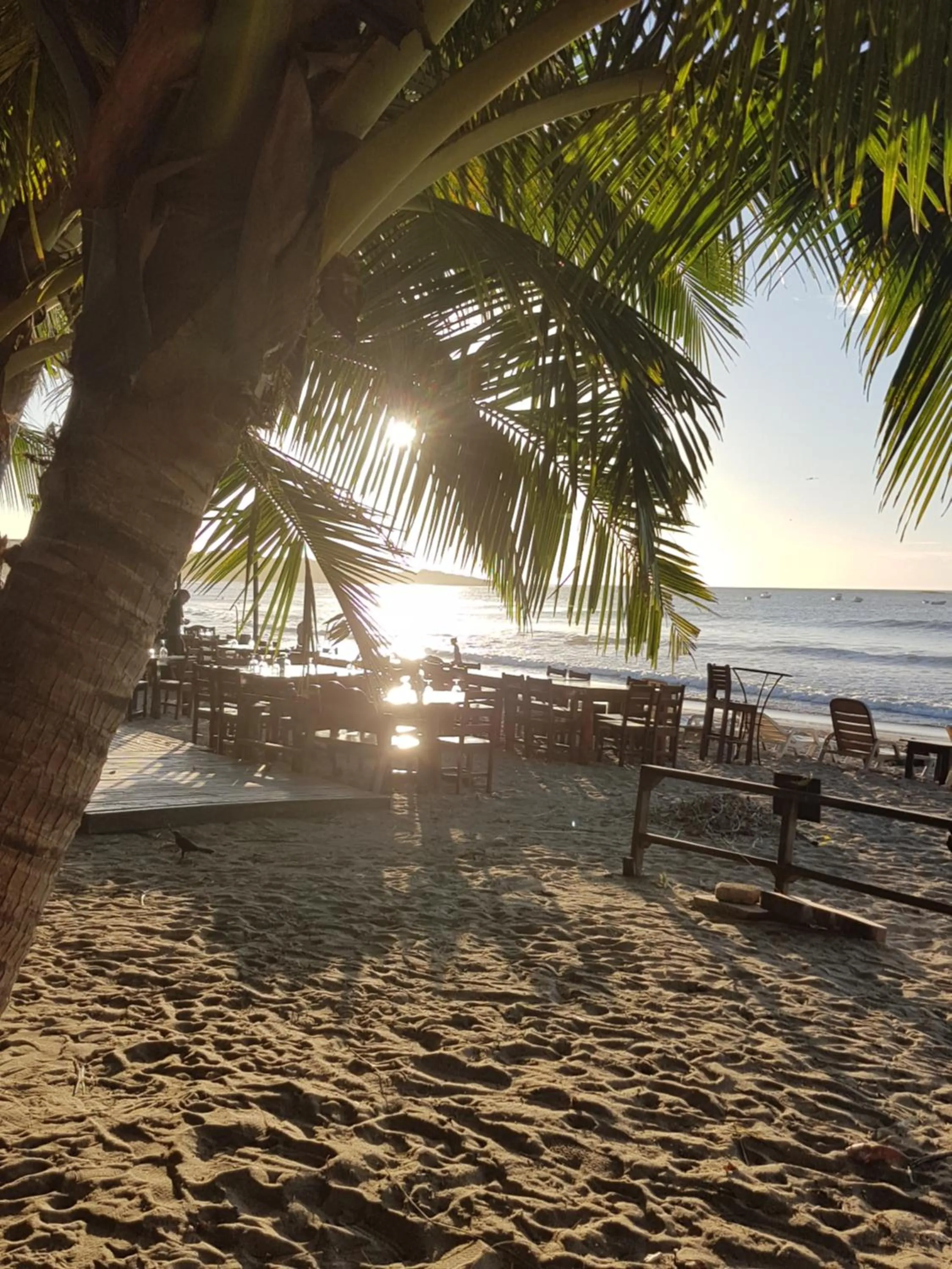 Restaurant/places to eat in Hotel La Palapa