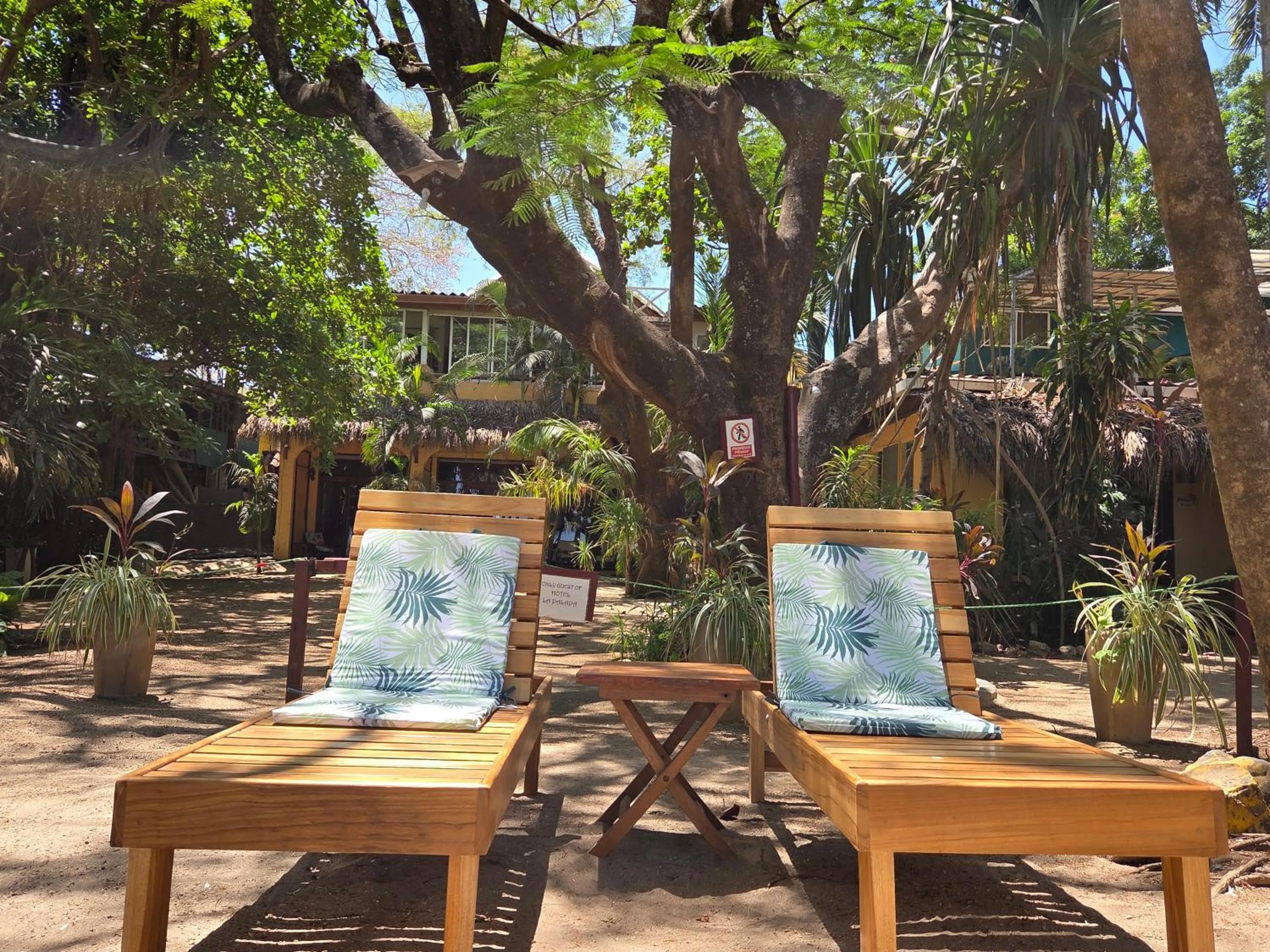Garden in Hotel La Palapa