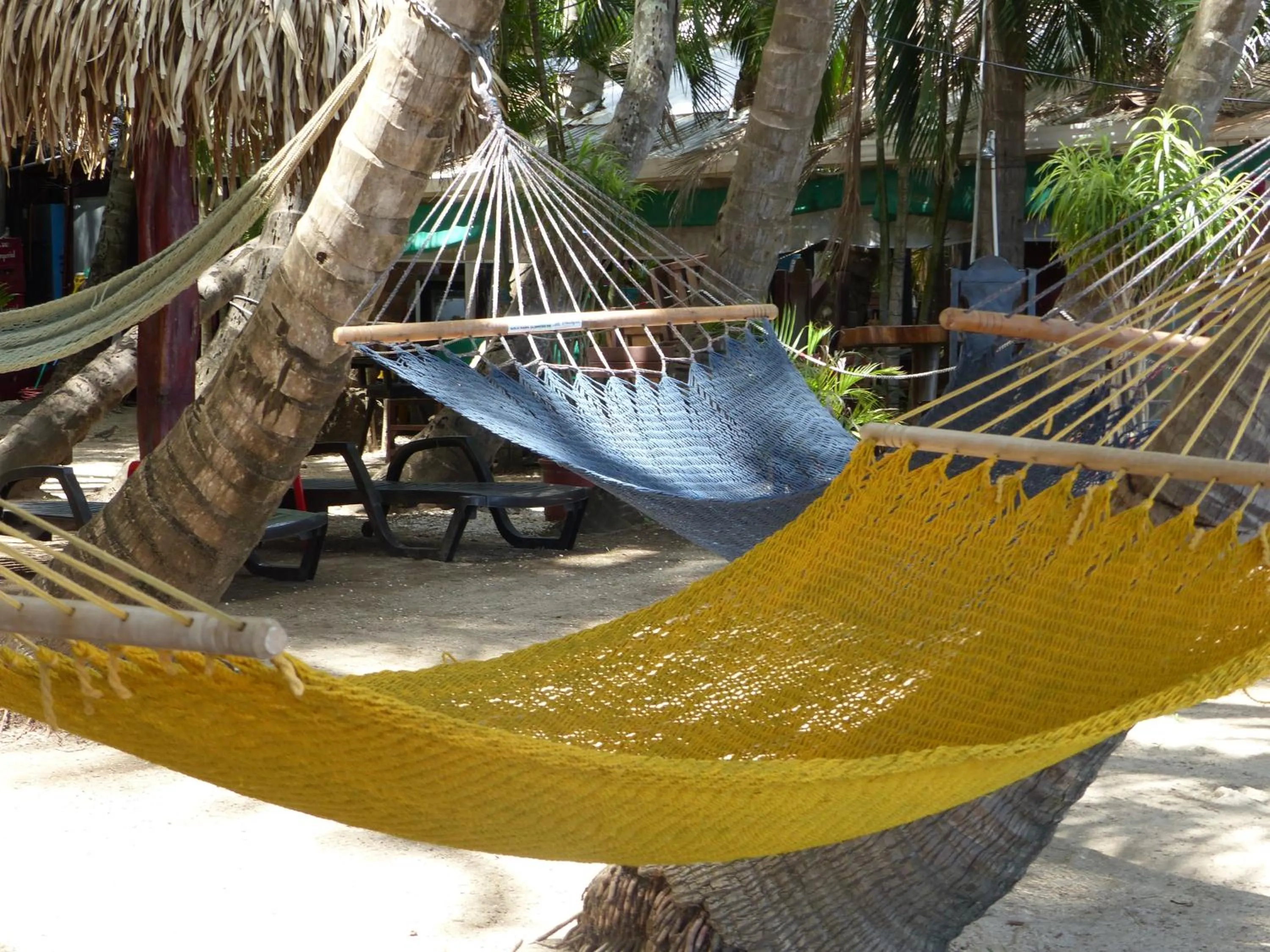 Natural landscape in Hotel La Palapa