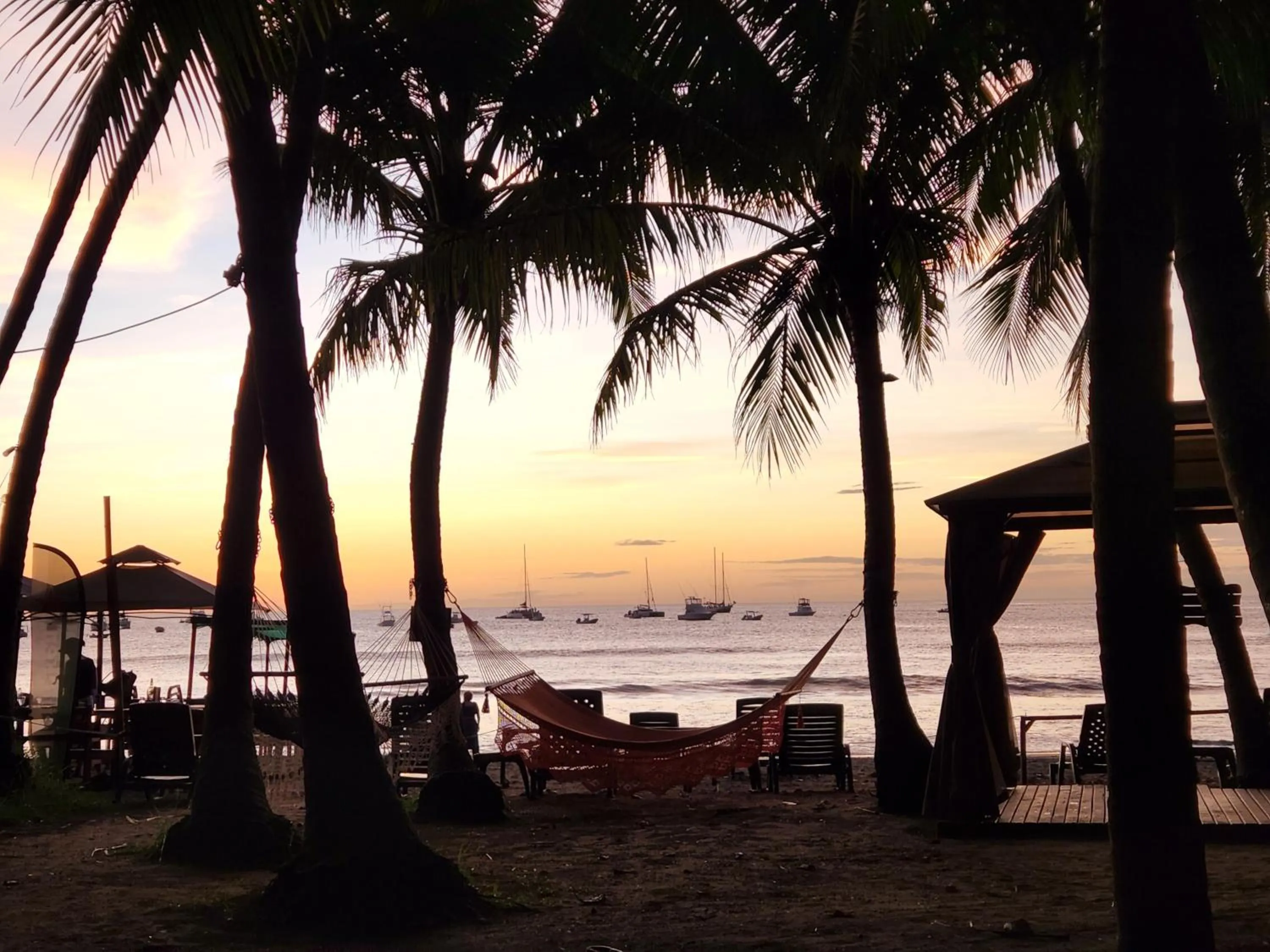 Natural landscape in Hotel La Palapa