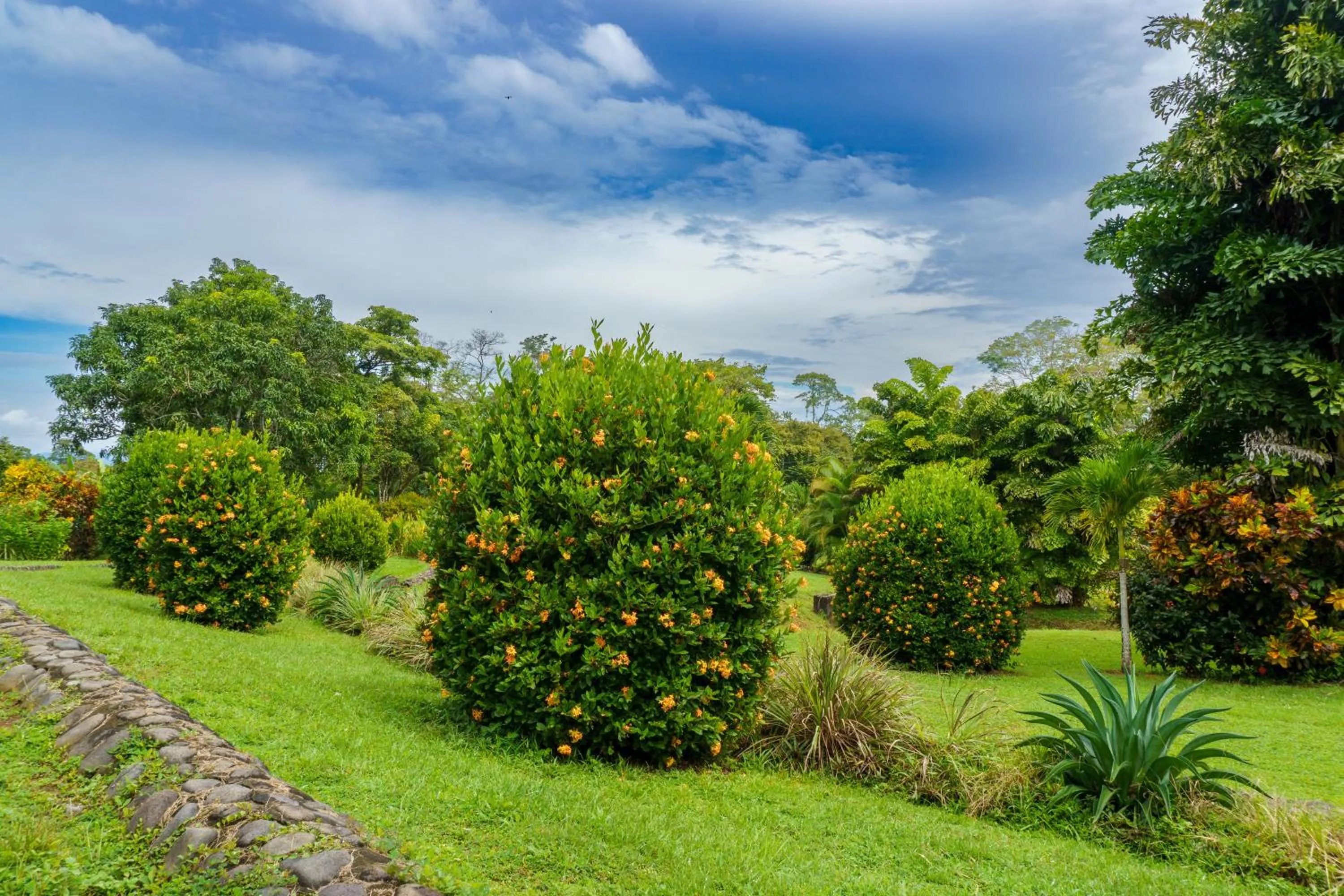 Garden in Jodokus Inn
