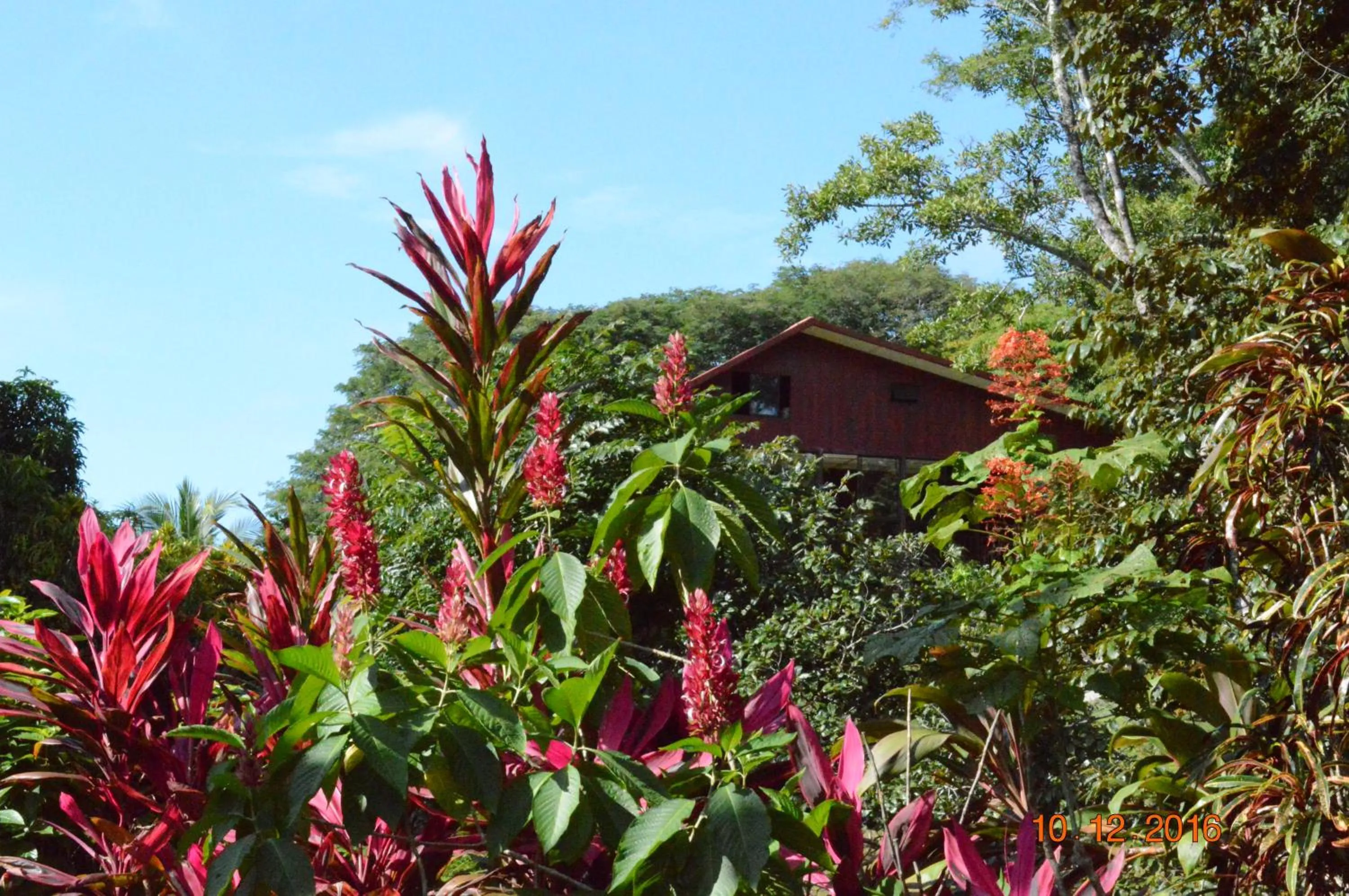 Garden in Jodokus Inn