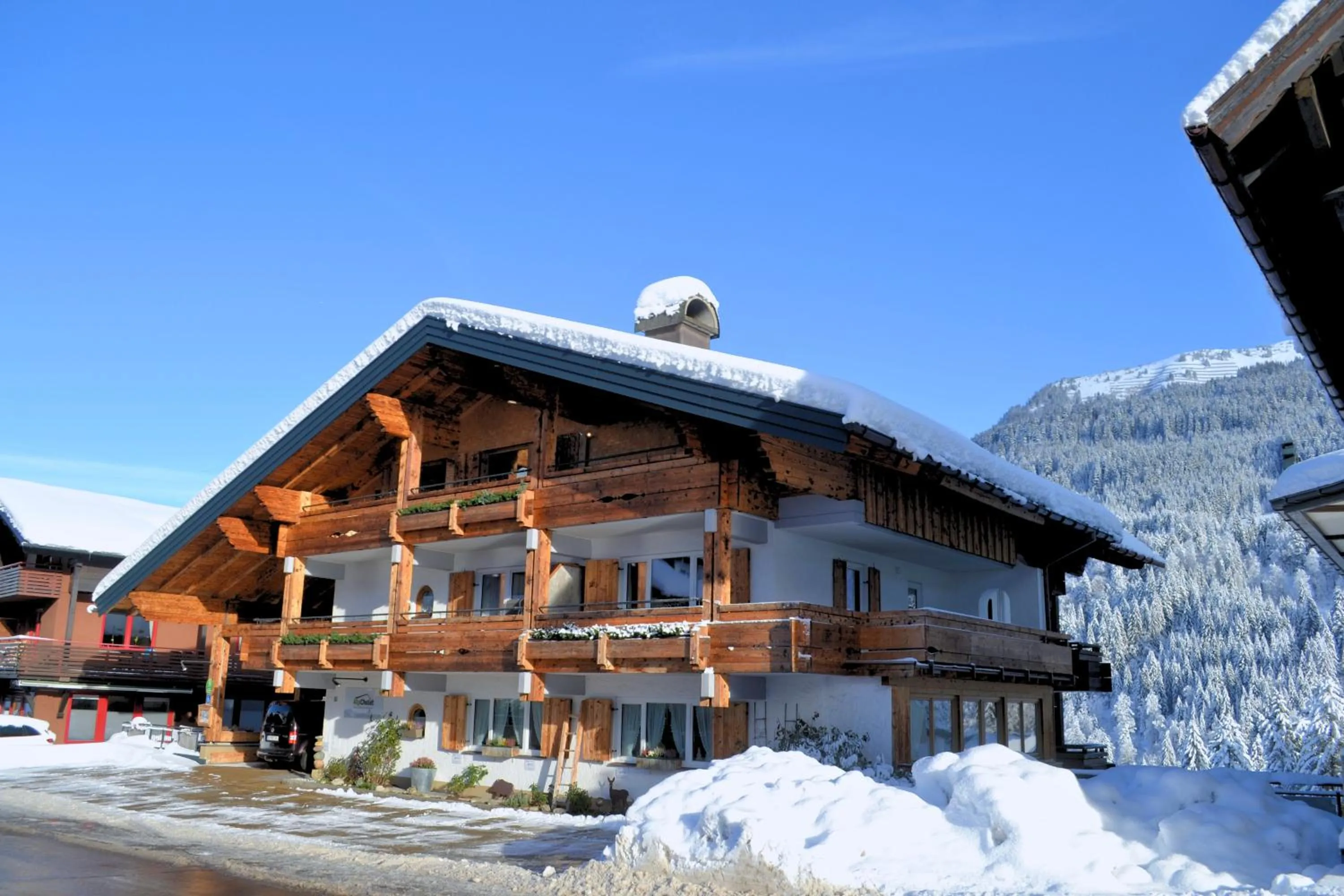 Property building in Alp-Chalet