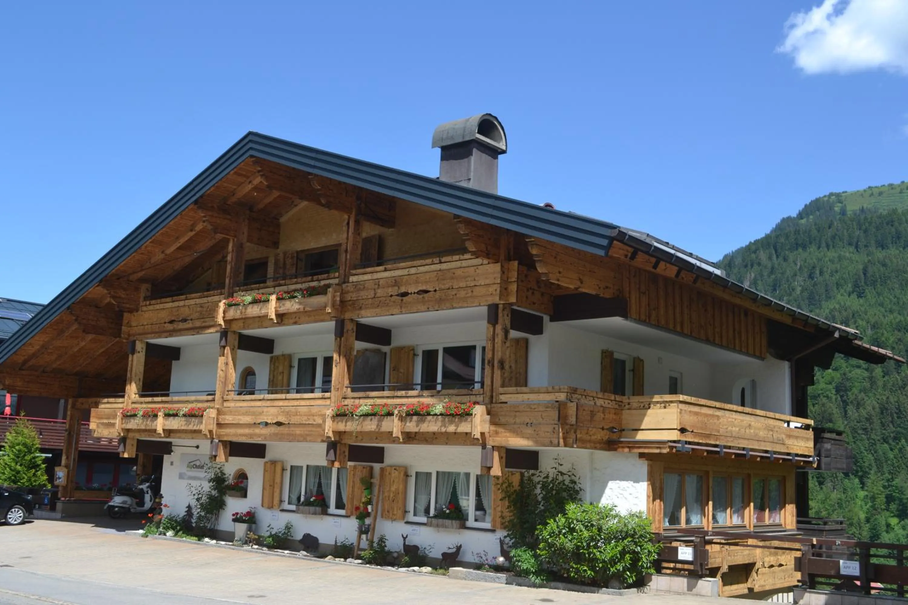 Property building in Alp-Chalet