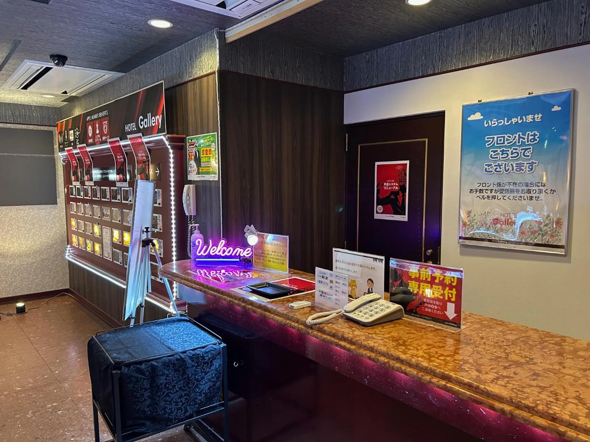 Activities in Hotel Gallery (Adult Only)