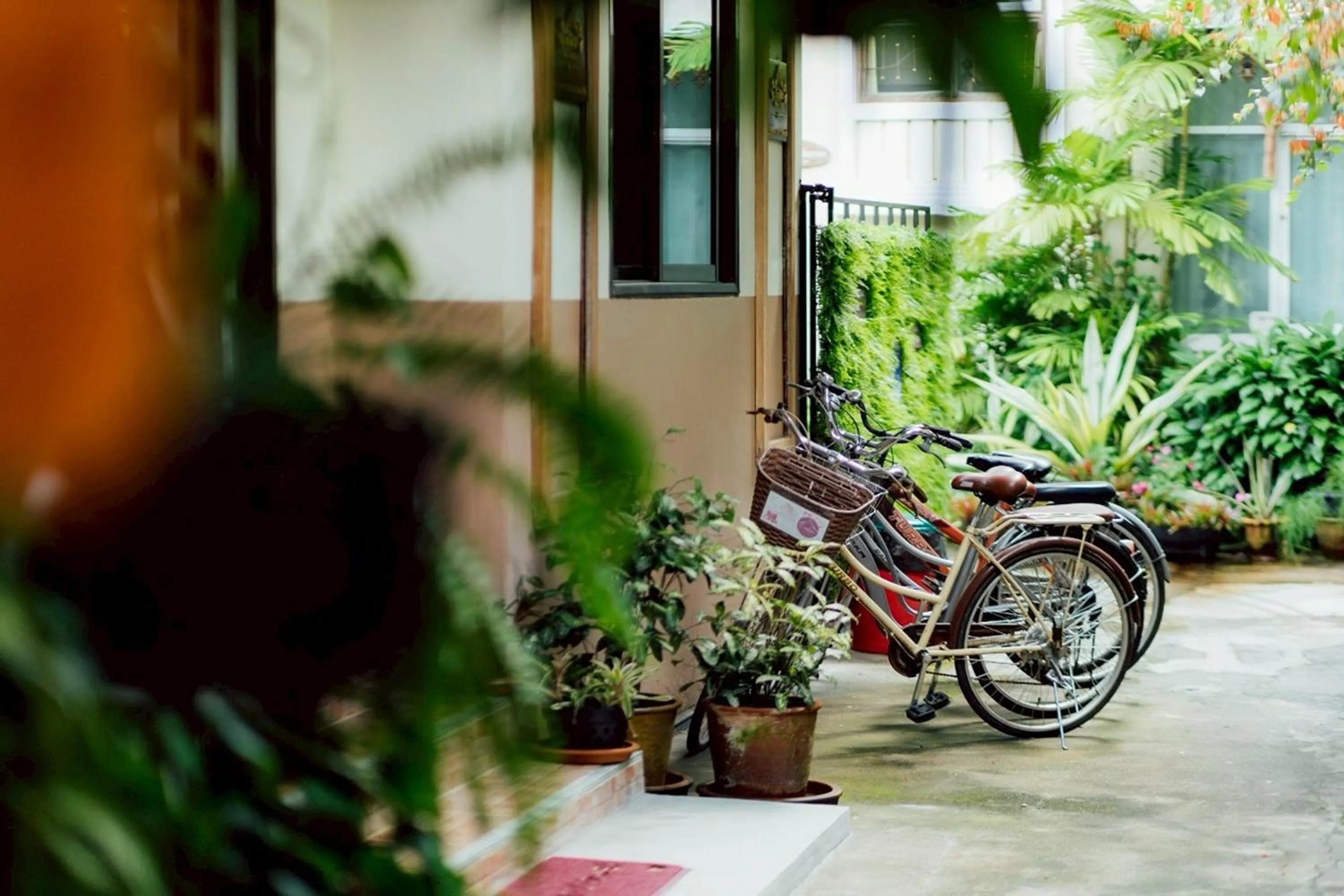 Cycling in Gita's House