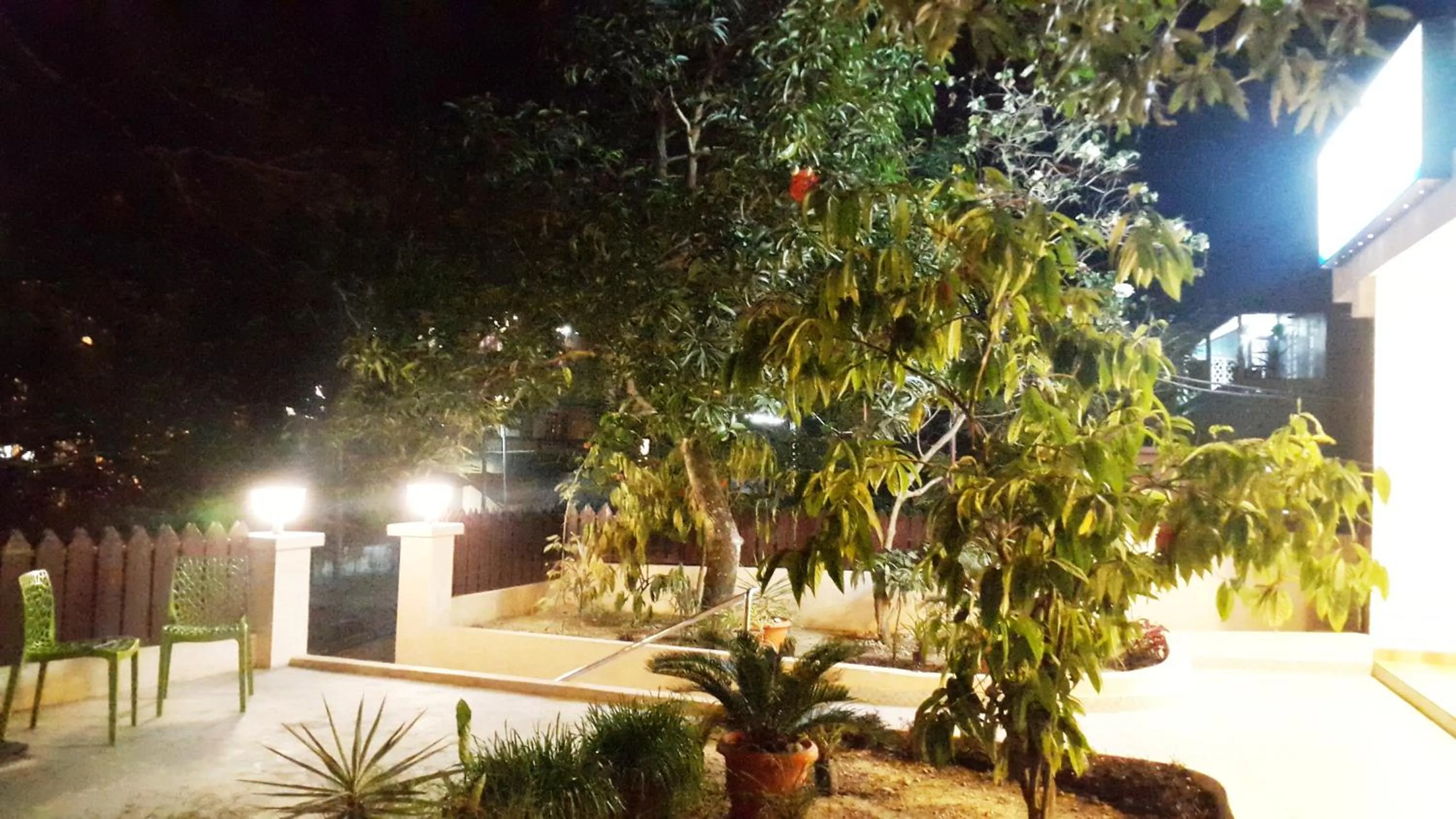 Garden in Kevins Bed & Breakfast