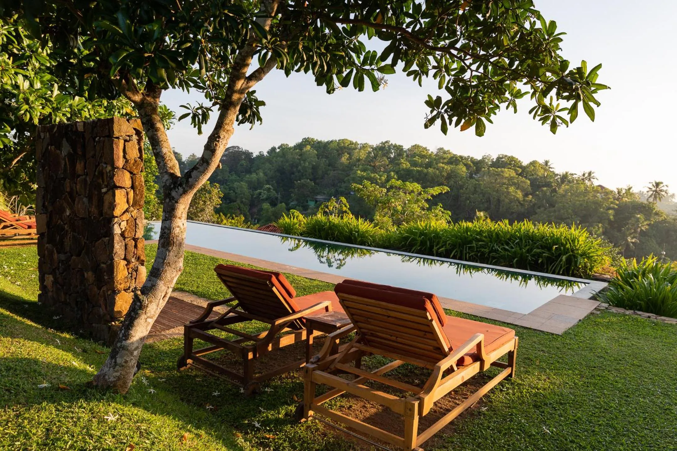 Garden in Cape Weligama - Relais and Chateaux