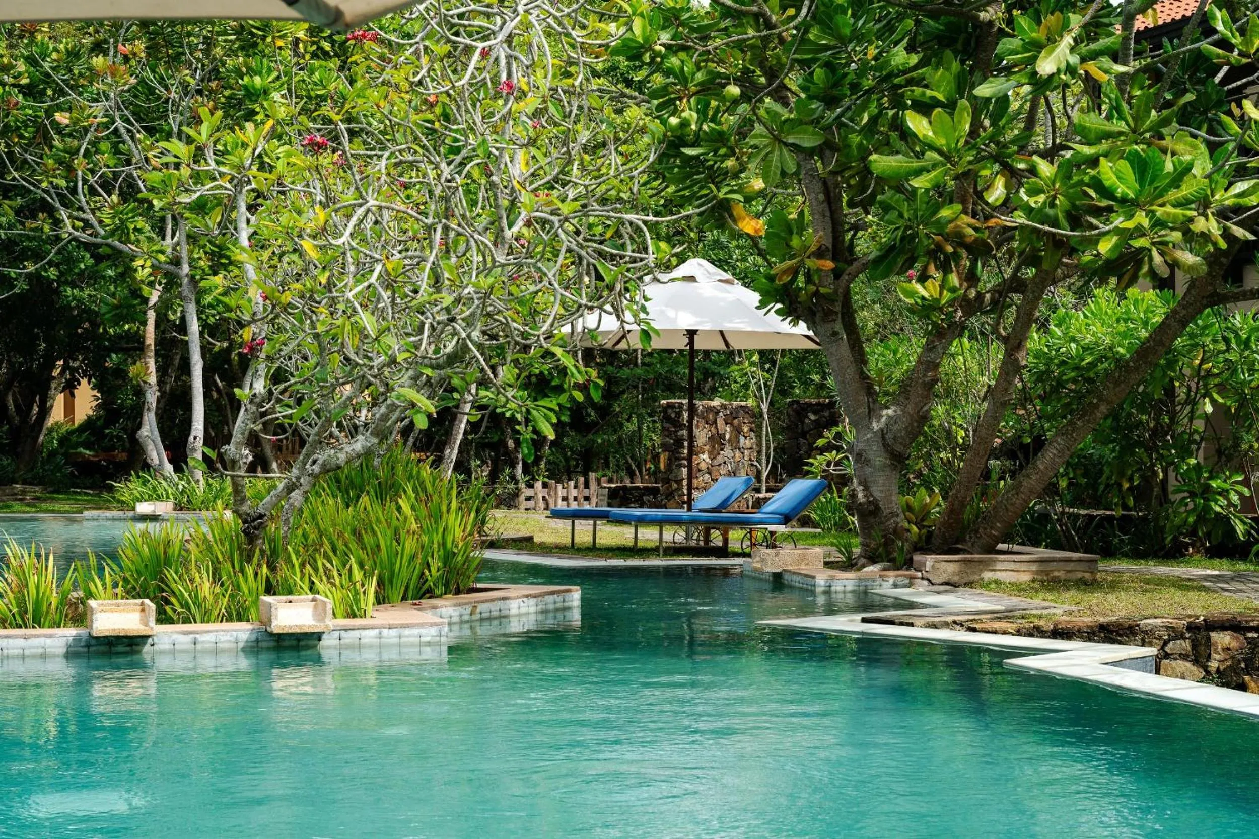 Swimming pool in Cape Weligama - Relais and Chateaux