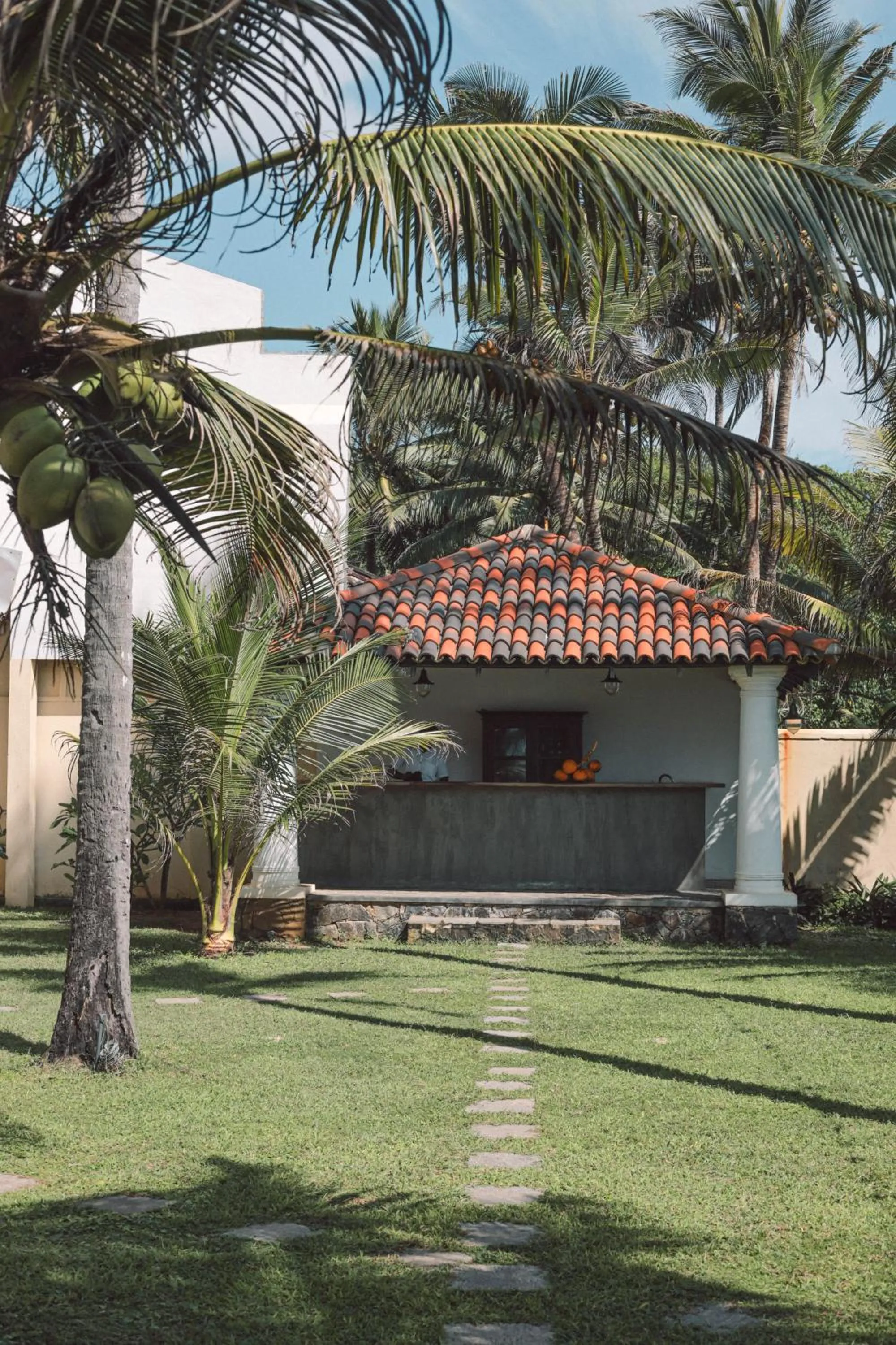 Garden in Naomi Beach Resort - Adults only