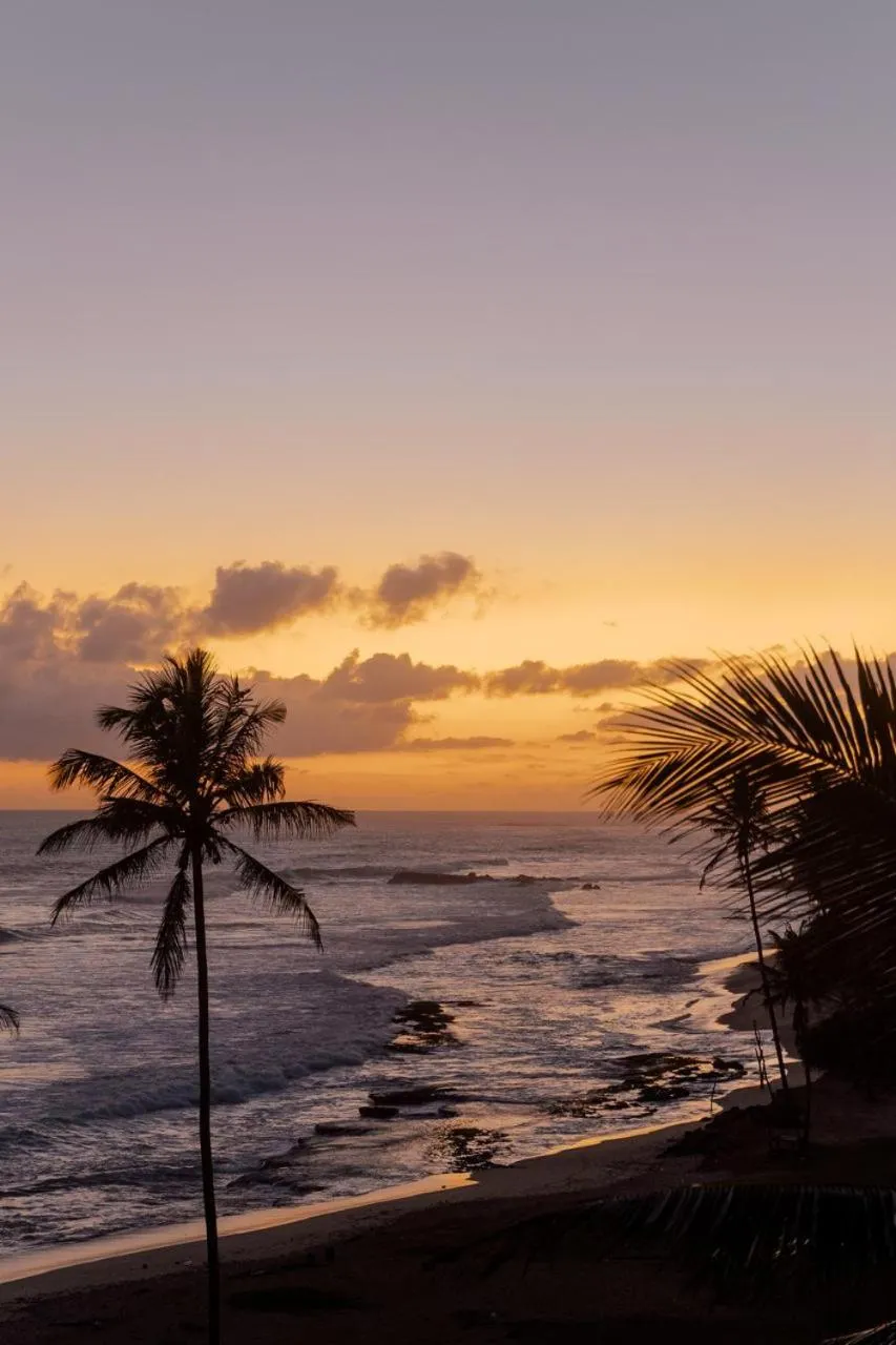 Naomi Beach Resort - Adults only