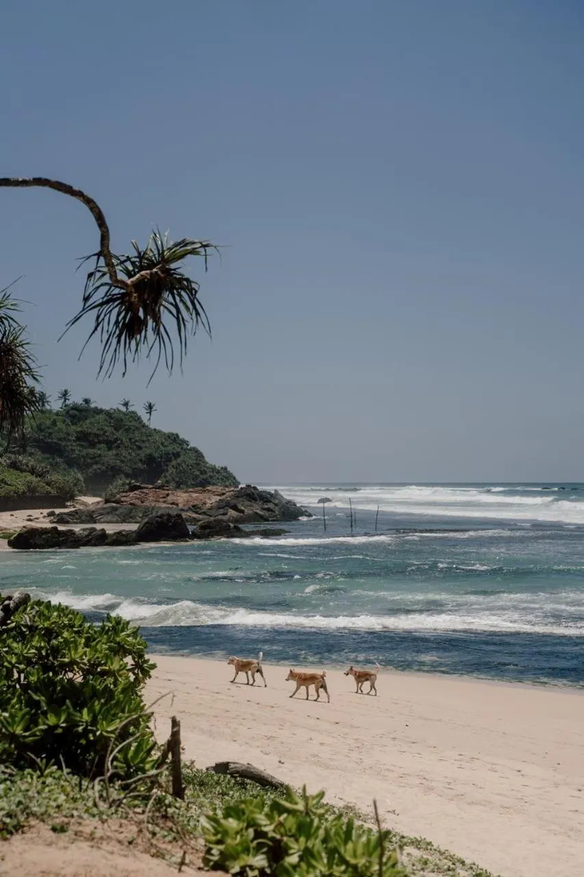 Naomi Beach Resort - Adults only