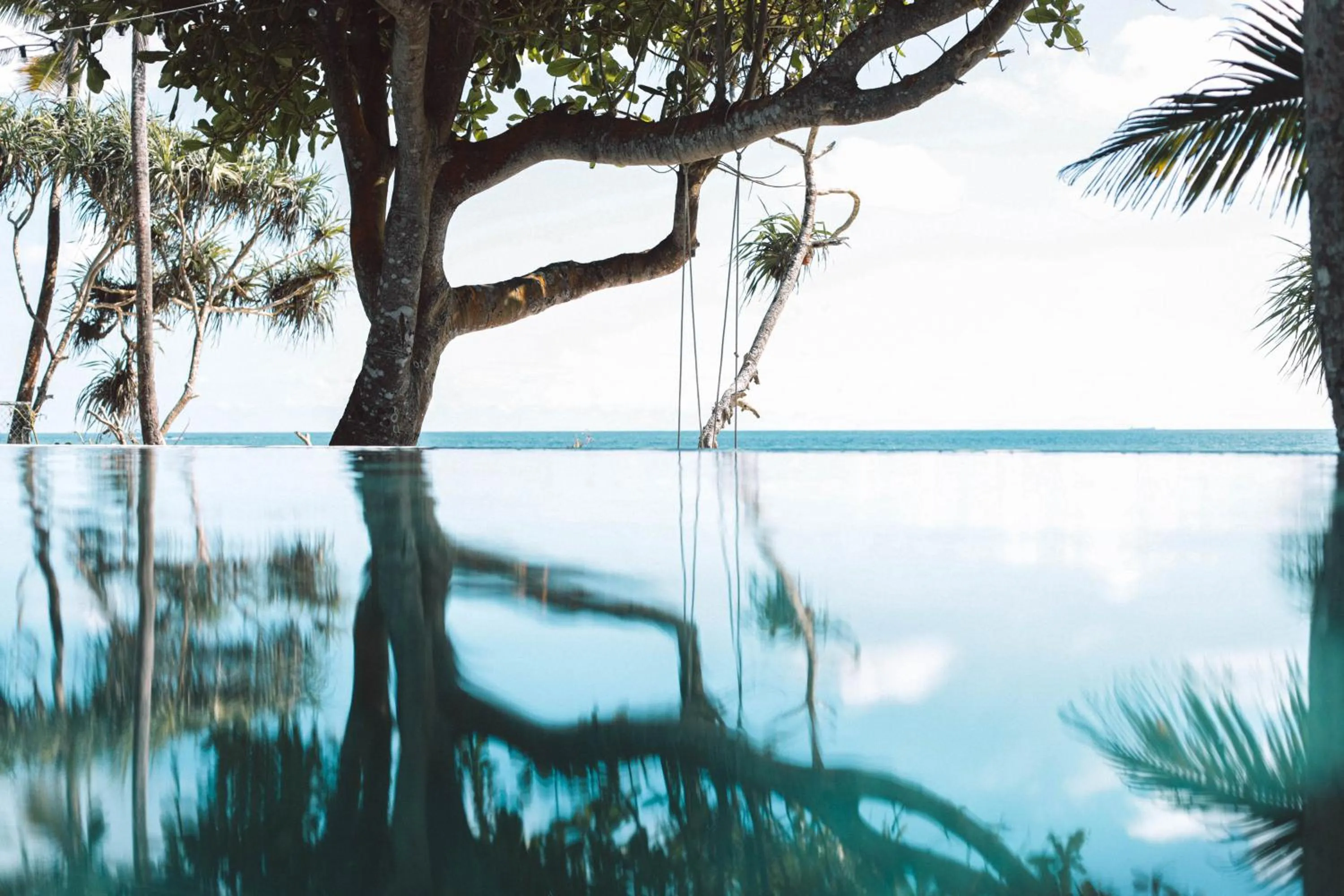 Natural landscape in Naomi Beach Resort - Adults only