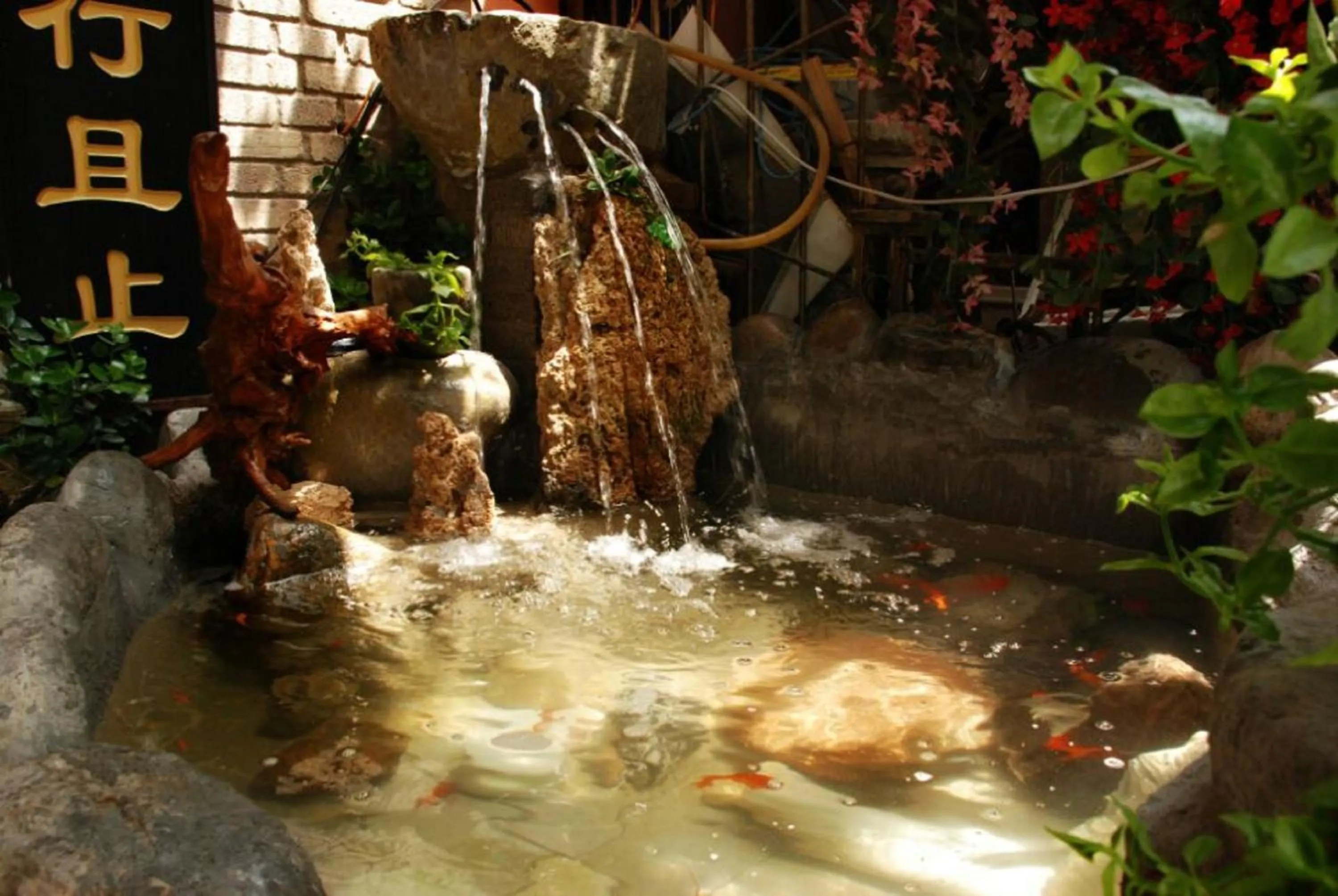 Fishing in One Meter Sunshine Xi'an Xianyang International Airport Hotel