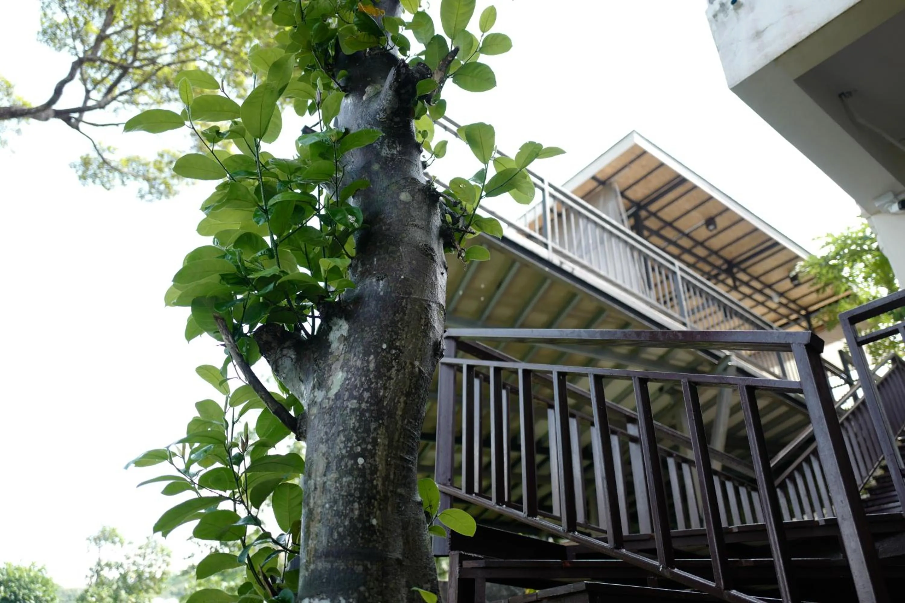 Property building in Sunset Bay View Phuket