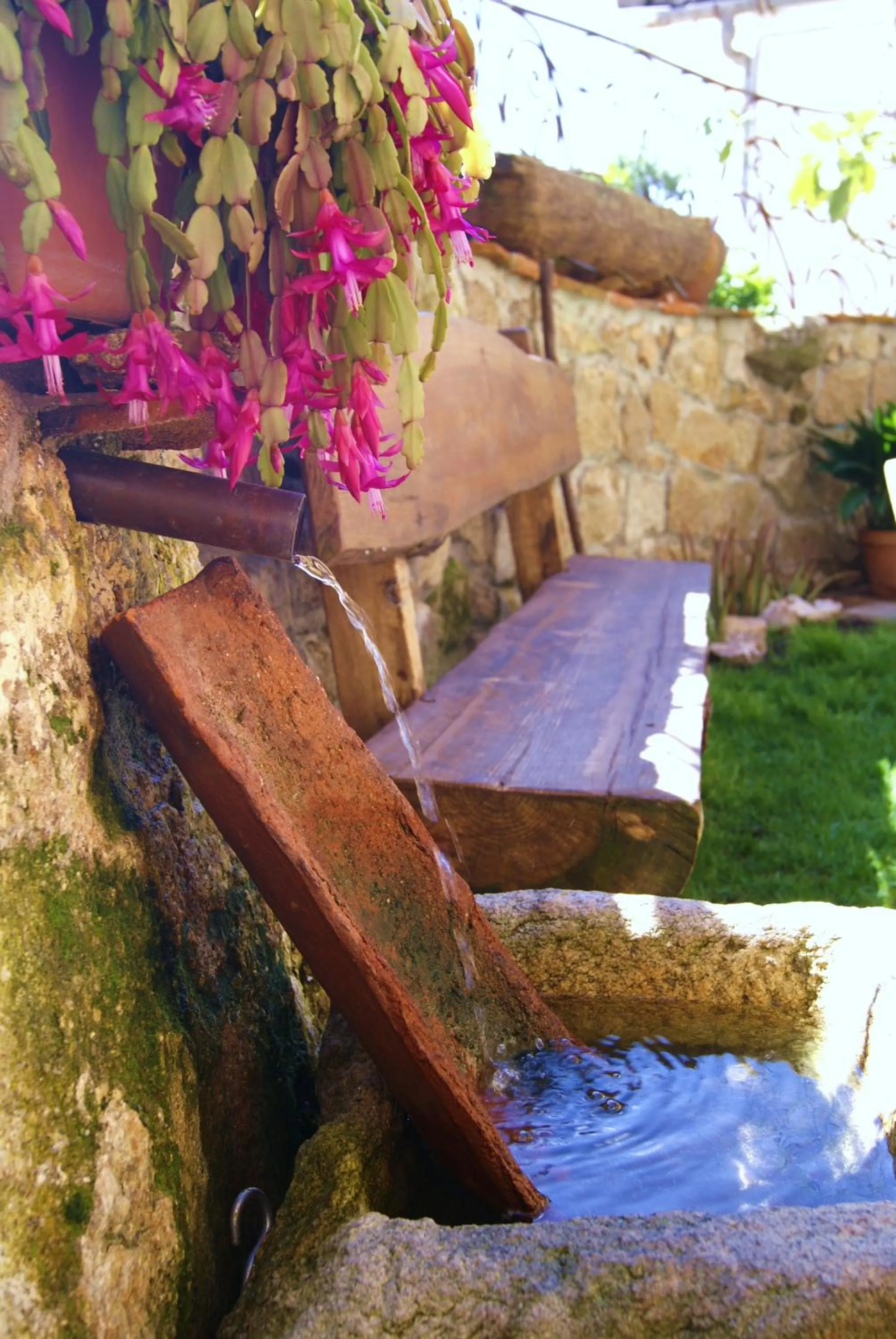 Garden in Posada La Gatera