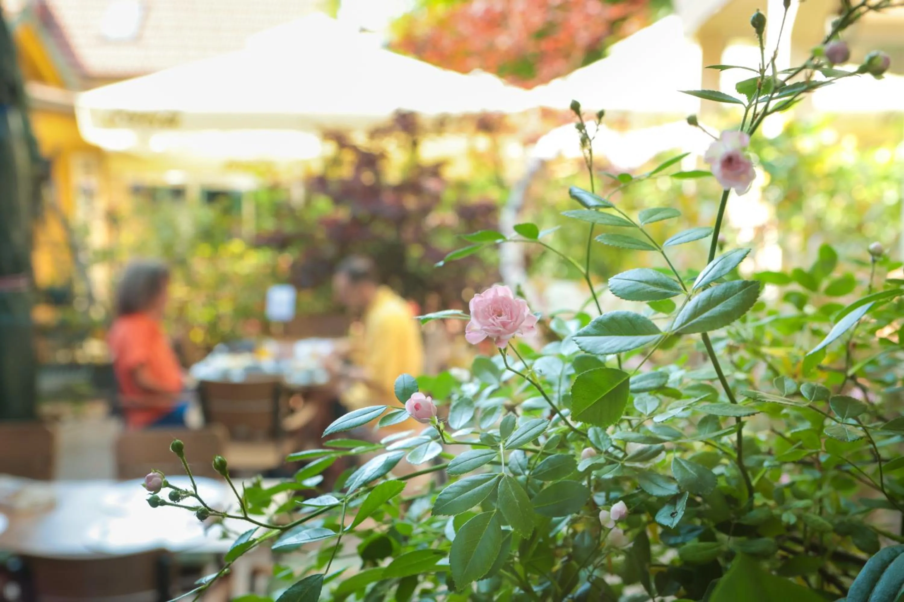 Patio in Boutique Hotel Asteria