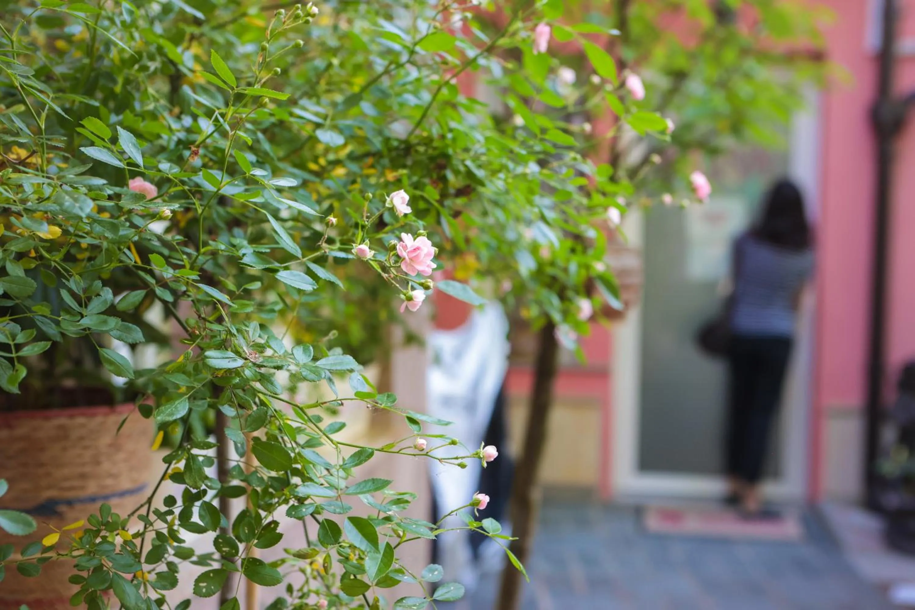 Patio in Boutique Hotel Asteria