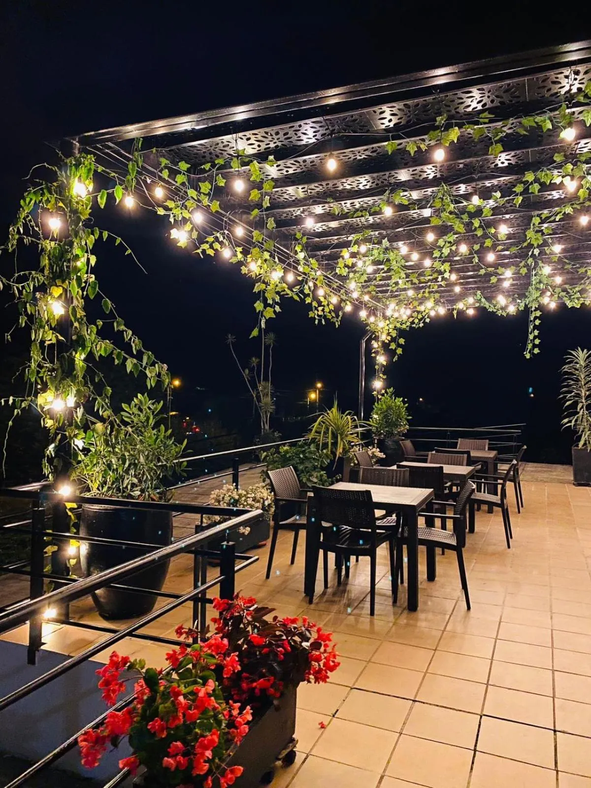 Restaurant/places to eat in Hotel Palmeras De Luz