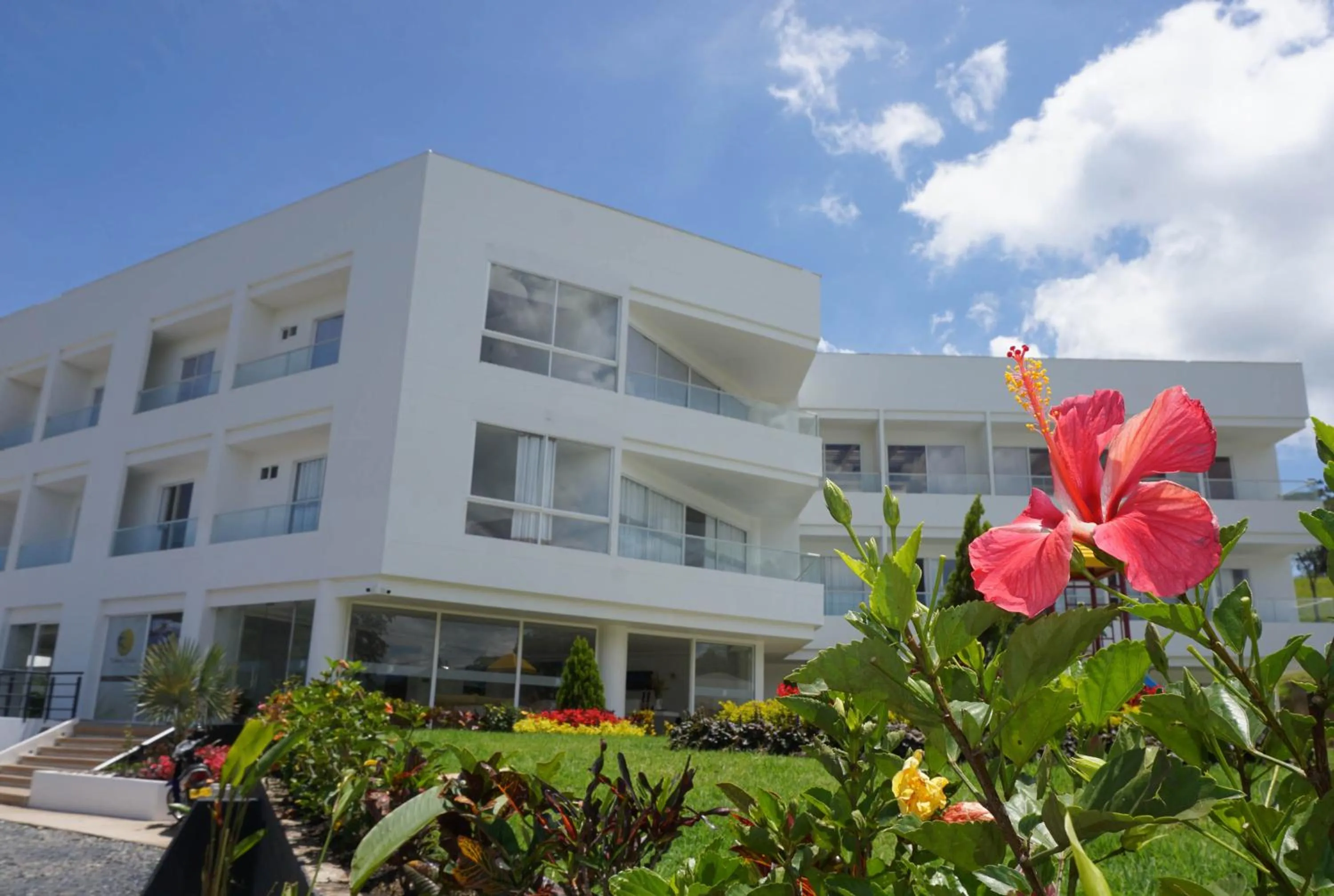 Garden in Hotel Palmeras De Luz